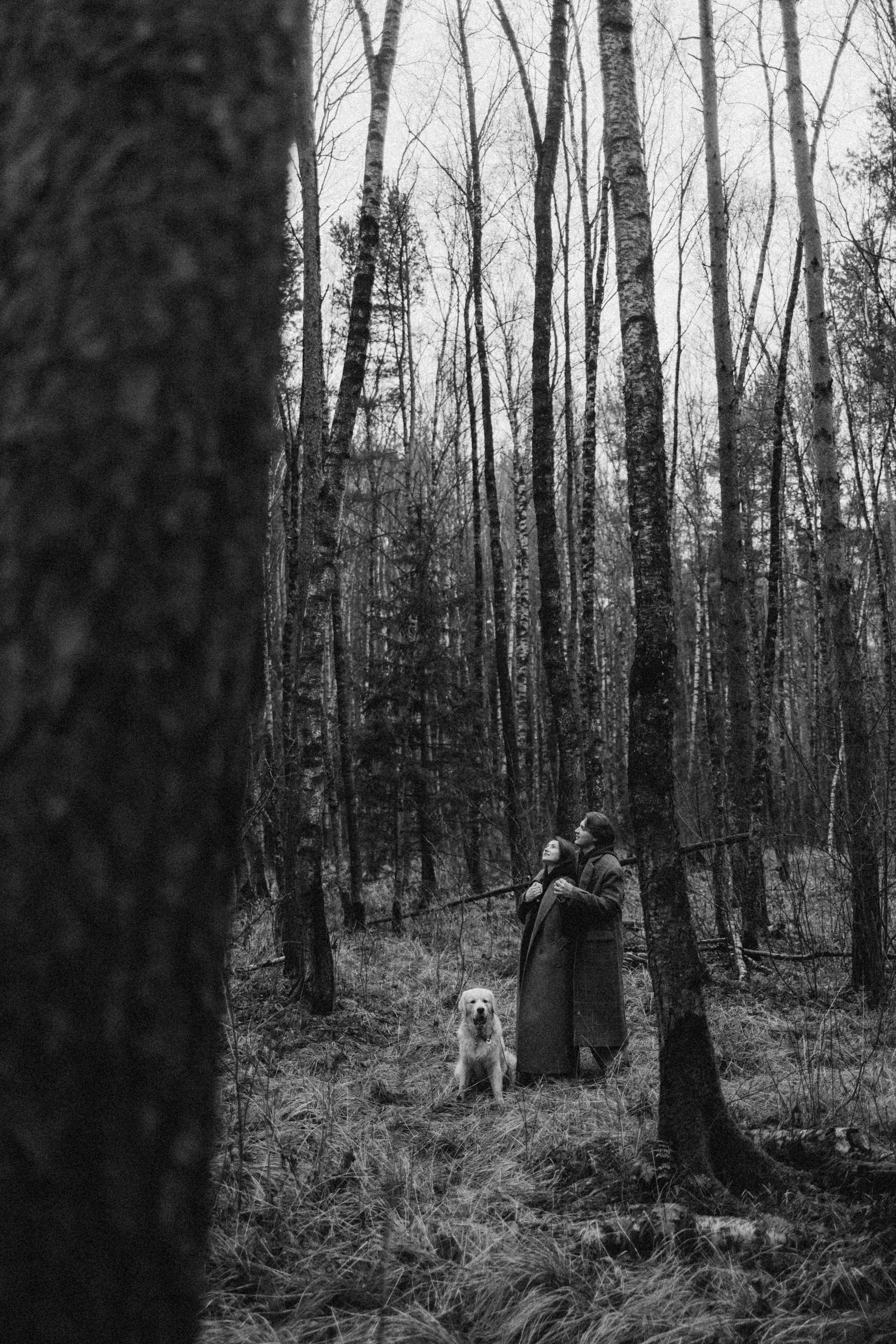 Лаки и его семья. Фотограф — Анималист | Санкт-Петербург