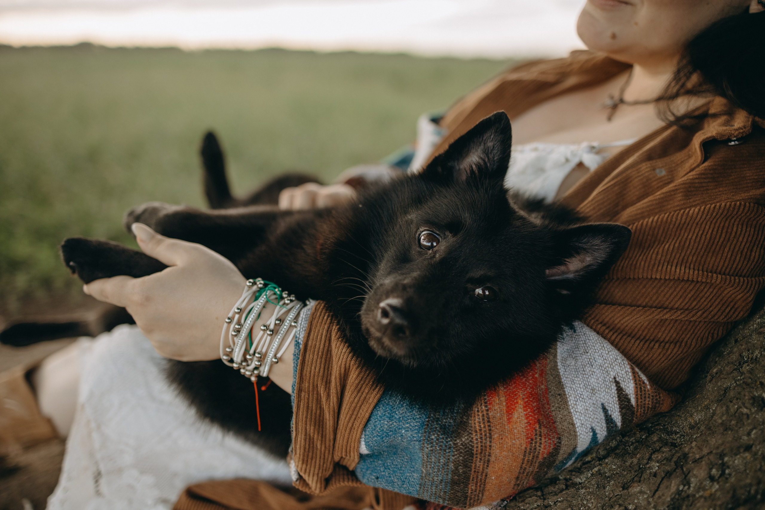 Анна и Максимус. Фотограф — Анималист | Санкт-Петербург