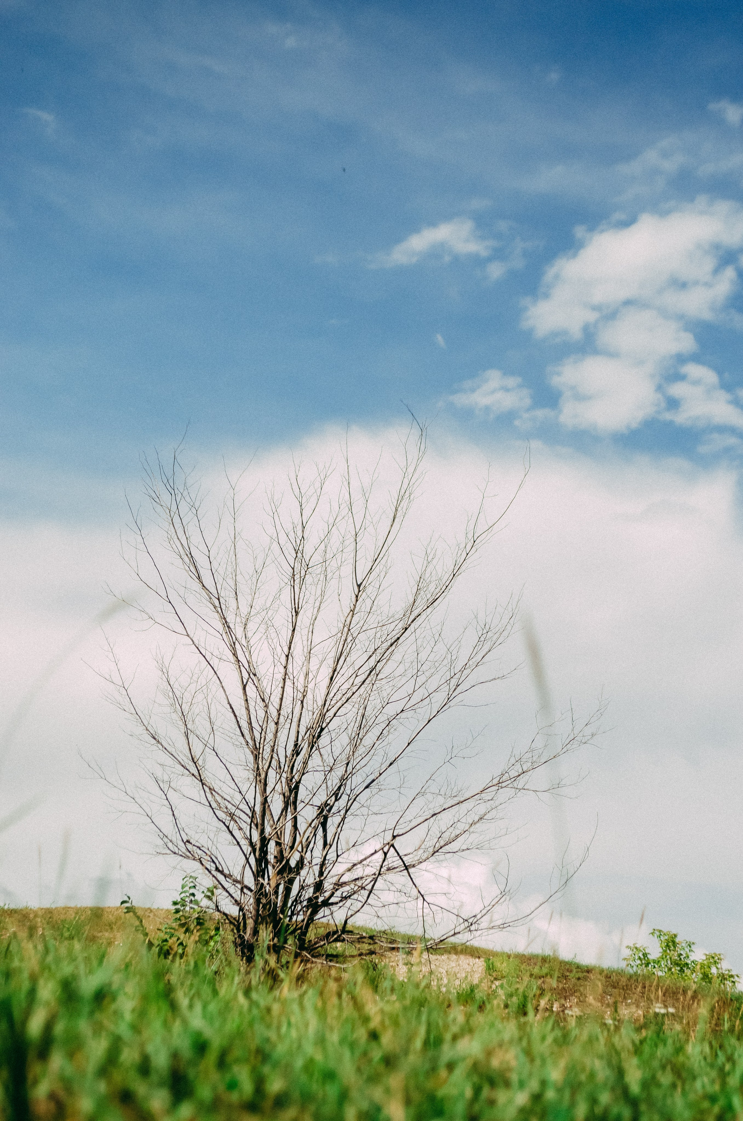 Свияжск. Фотограф в Твери Юдина Полина