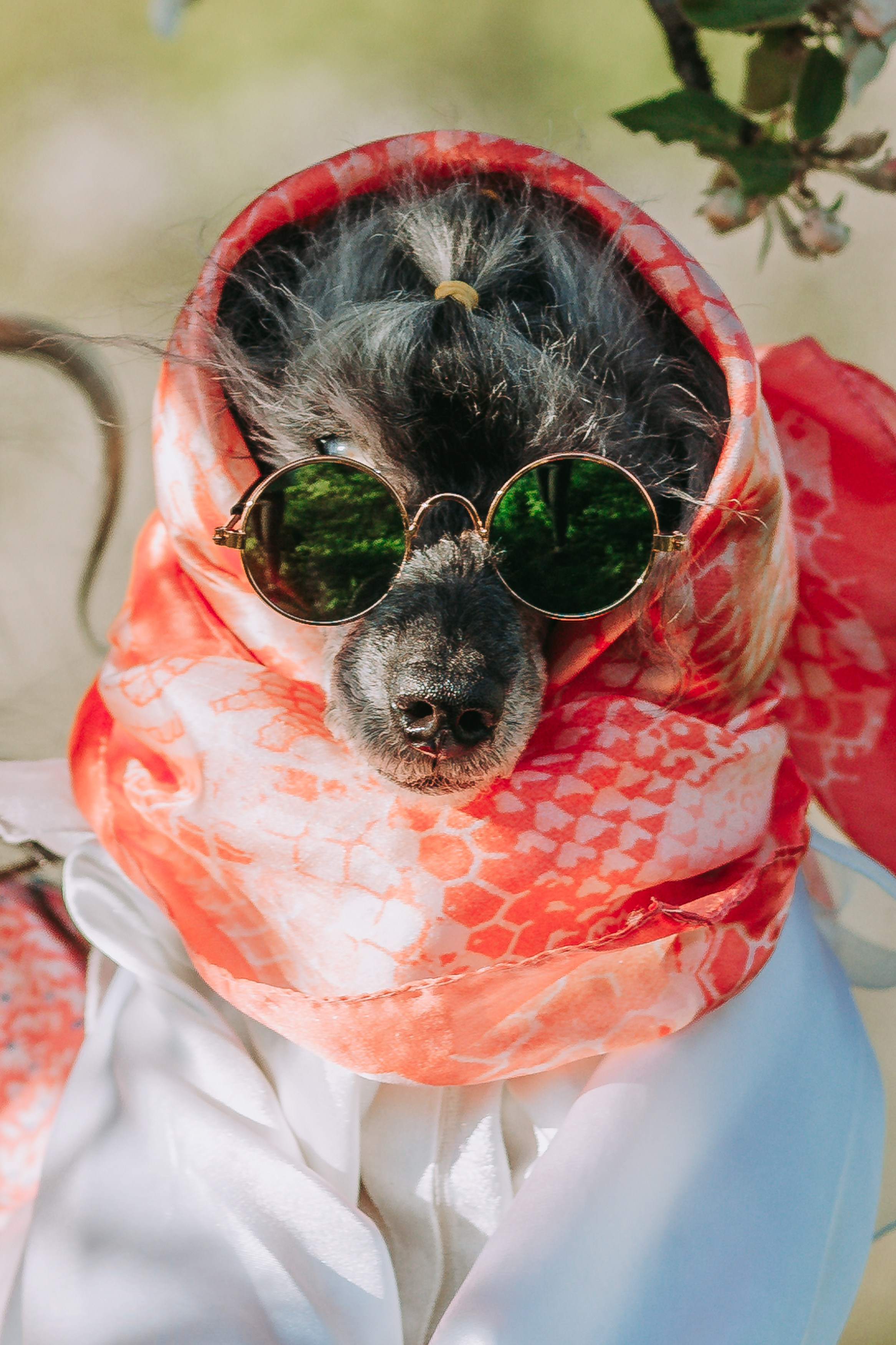 Ольга. Портретный фотограф Павлова Светлана / Брянск /