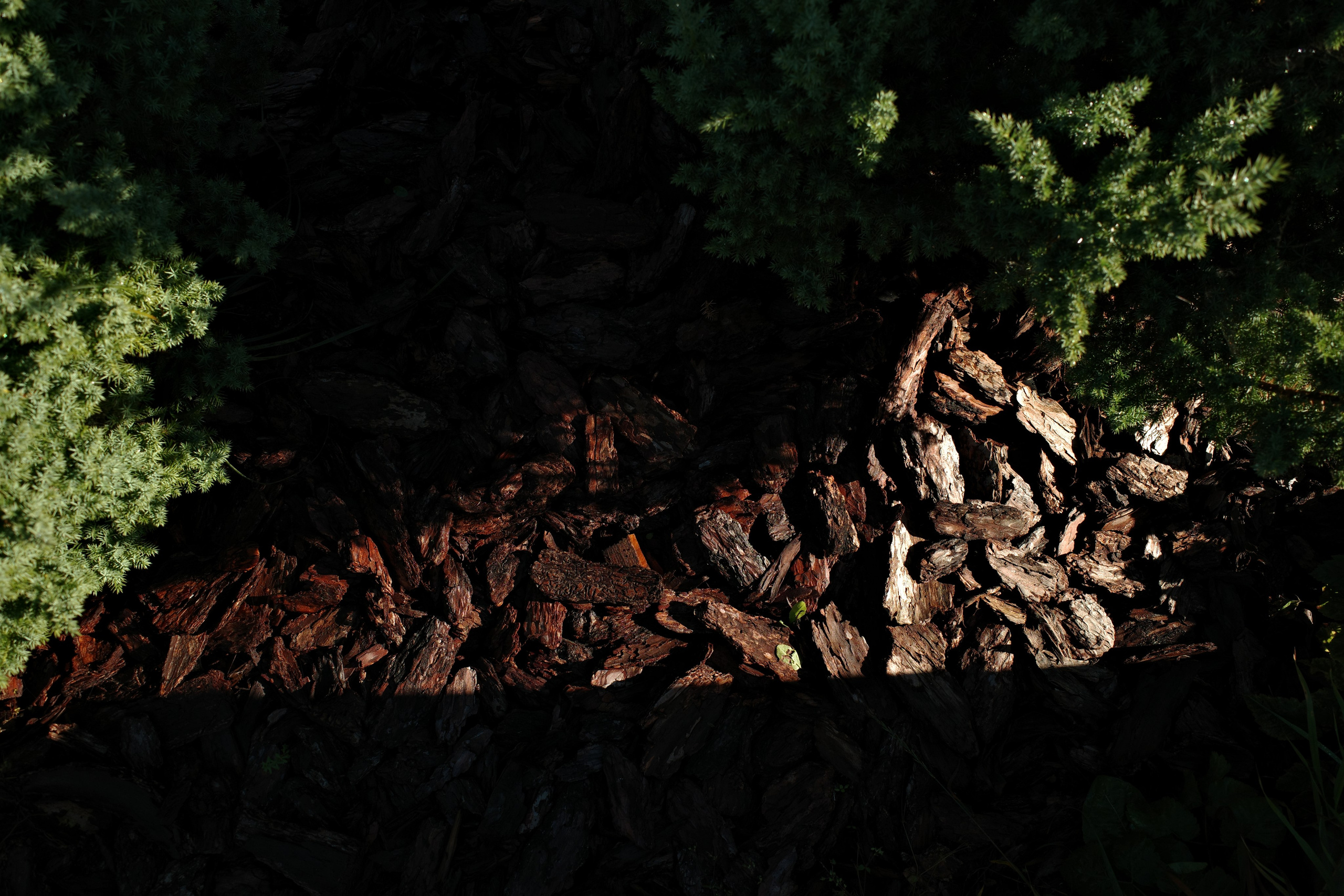 Галерея Ricoh GR3 HDF. Константин Устинов — фотограф