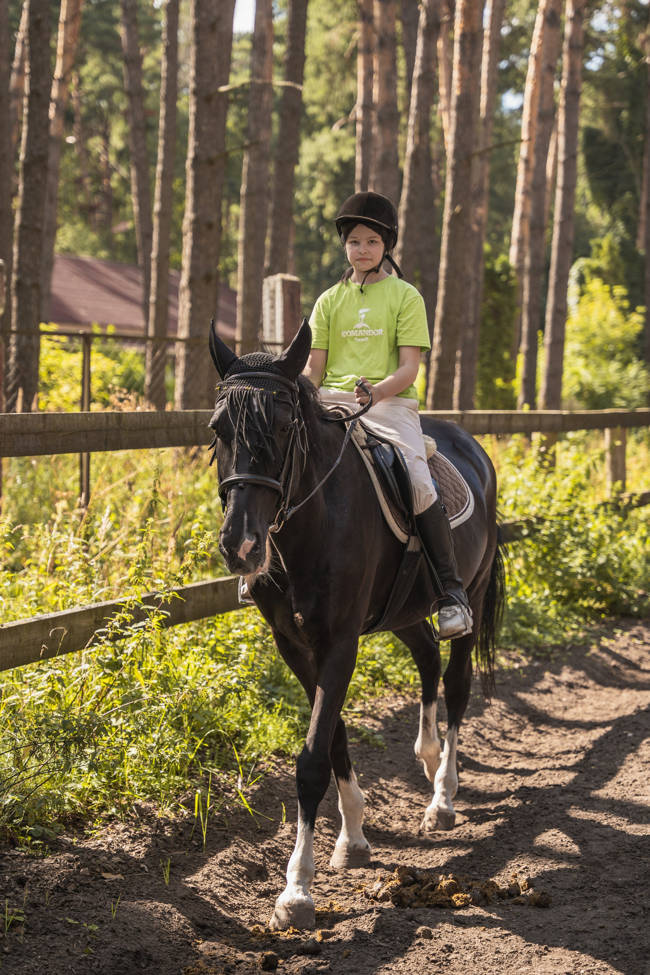 Конное занятие. Главная