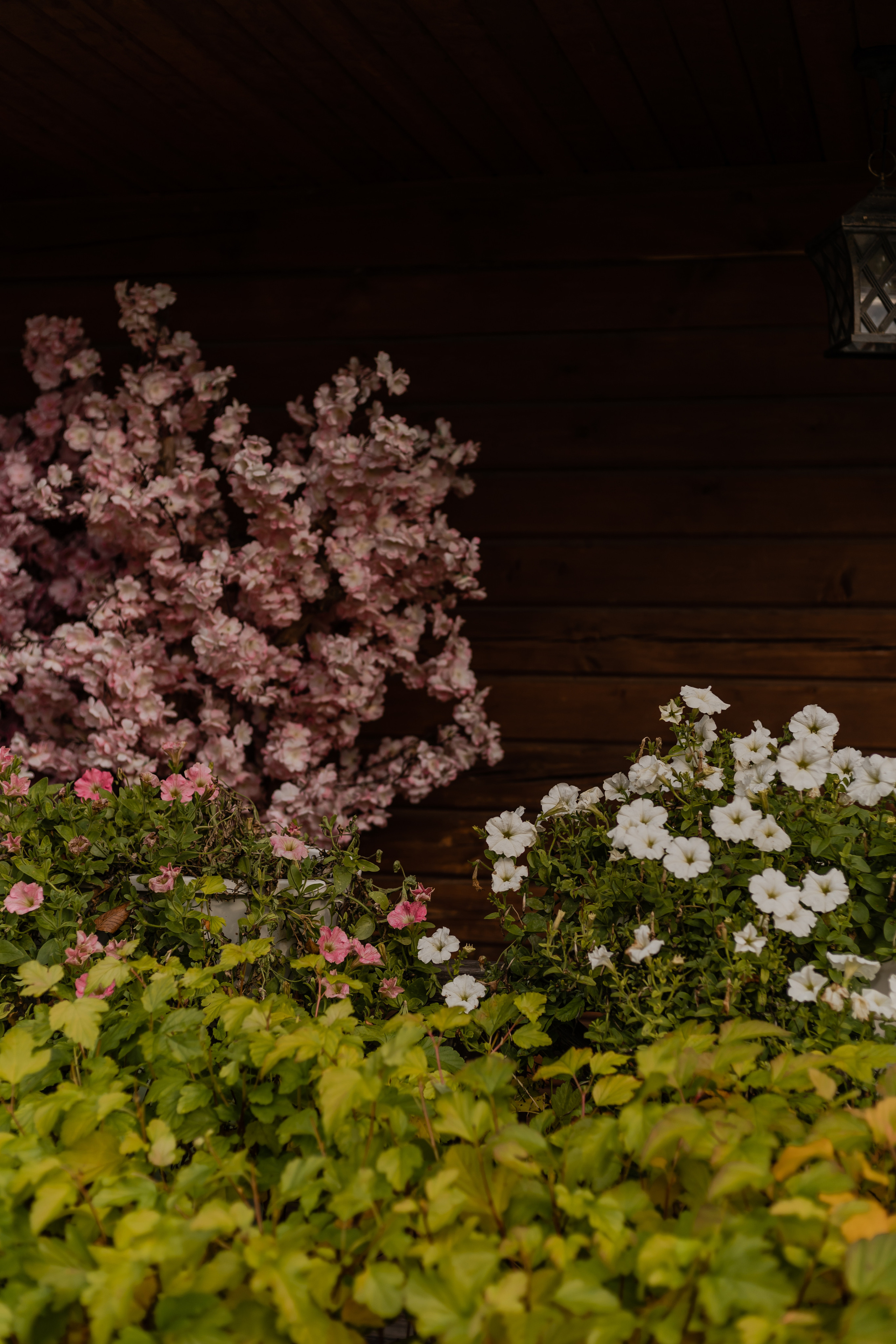 Алёна и Артём. Фотограф Алина Филимонова Тверь