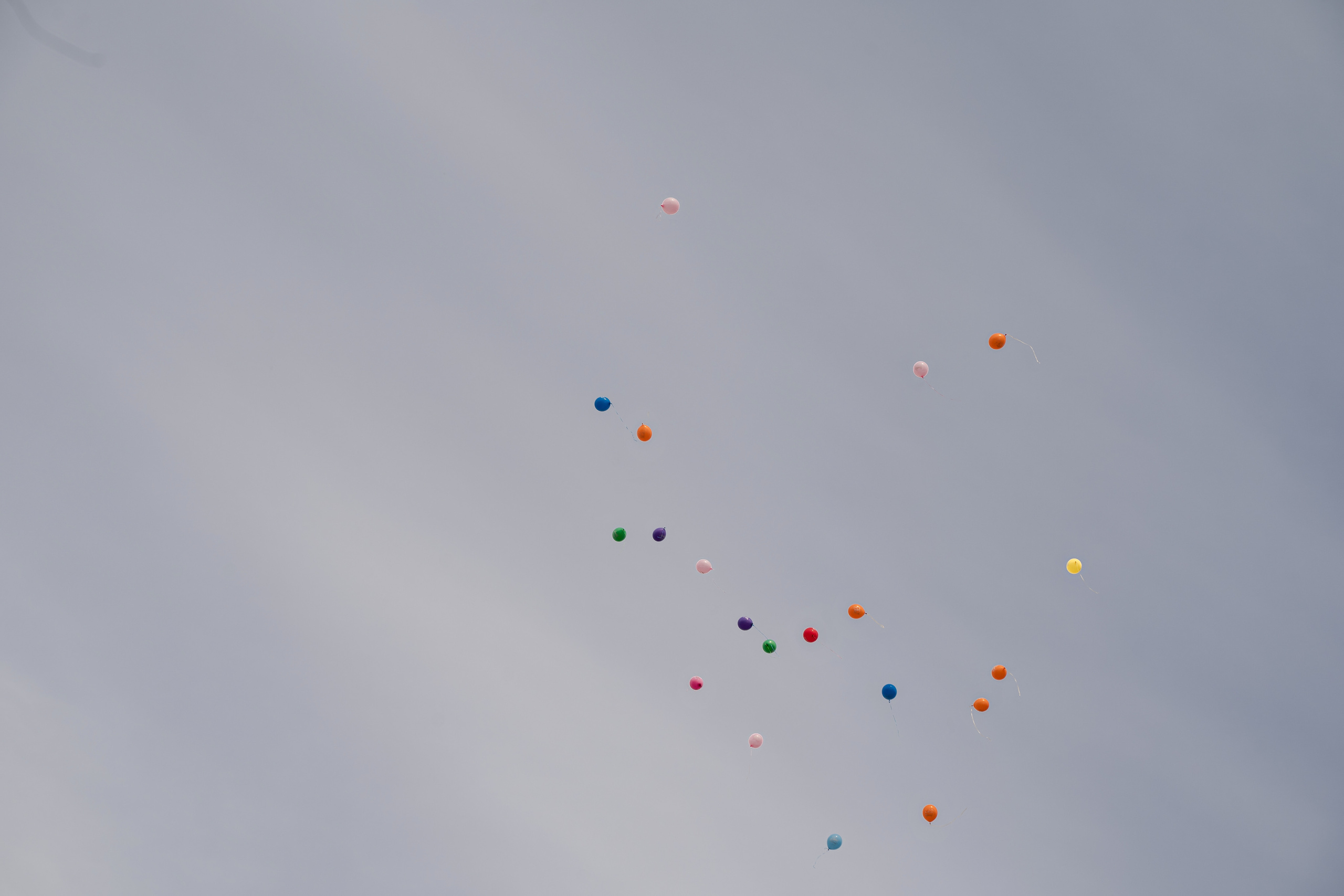 Выпускной в Ривьере. Фотограф Алина Филимонова Тверь