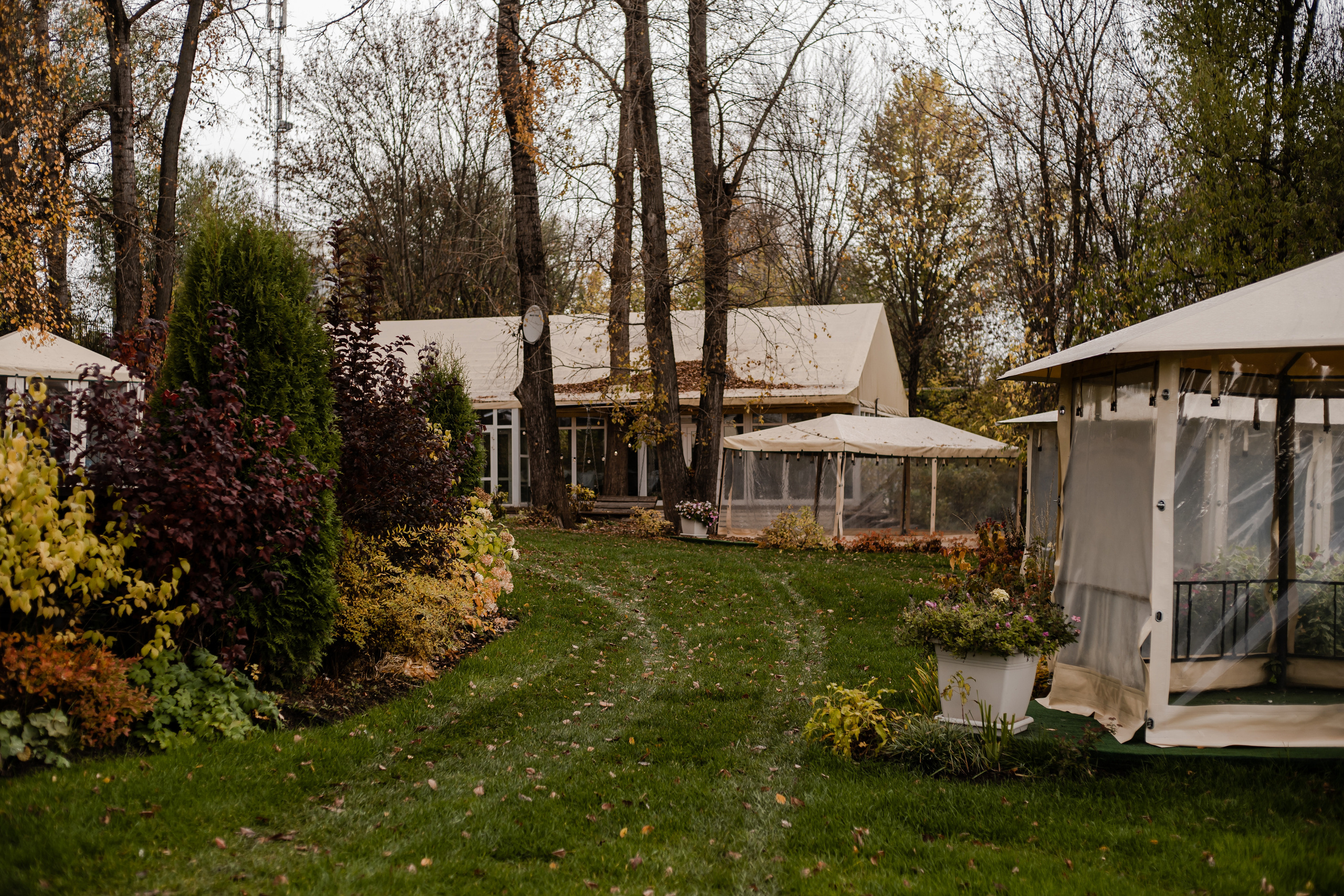 Алёна и Артём. Фотограф Алина Филимонова Тверь