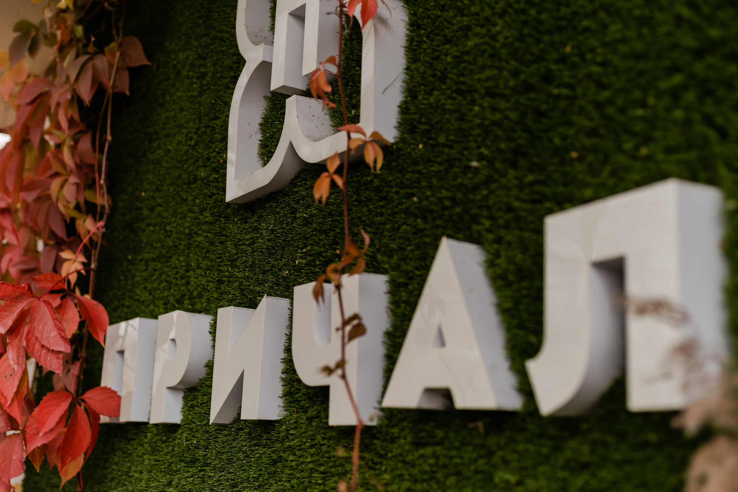 Алёна и Артём. Фотограф Алина Филимонова Тверь