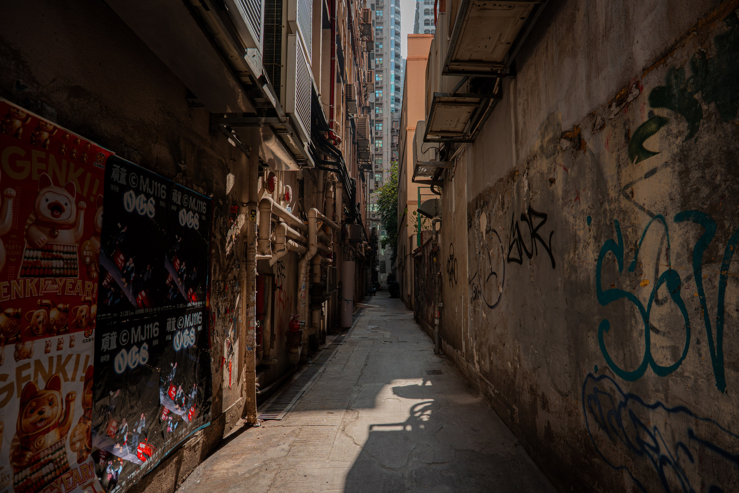 ГОНКОНГ 2026. Фото| Видео продакшн | Александр Ярков