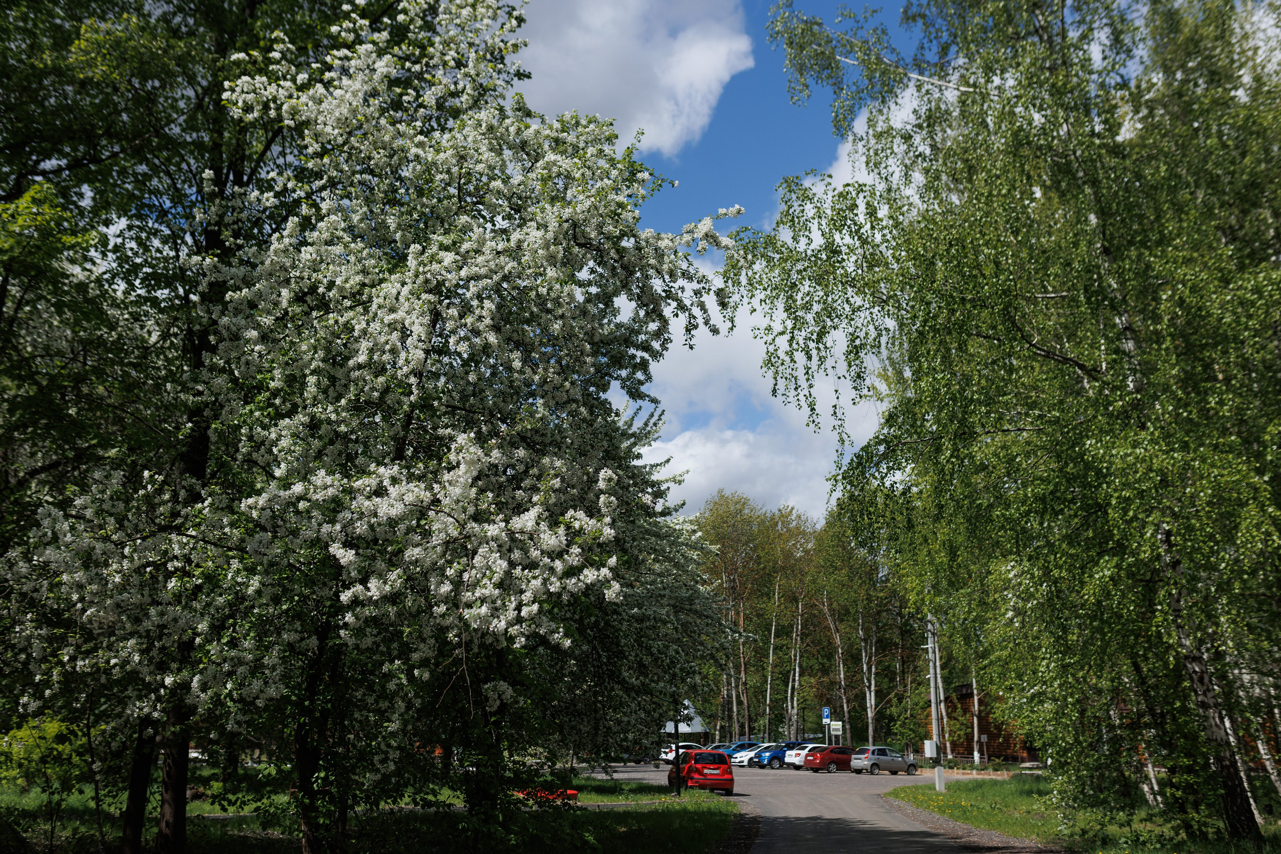 База отдыха «Металлург». Фотограф городских и семейных событий в Нижнем Новгороде Артем Карпухин