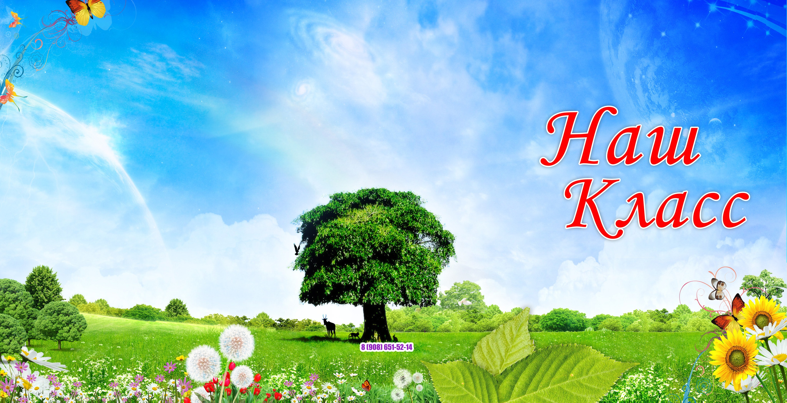 Выпускники. Фотограф в Крыму