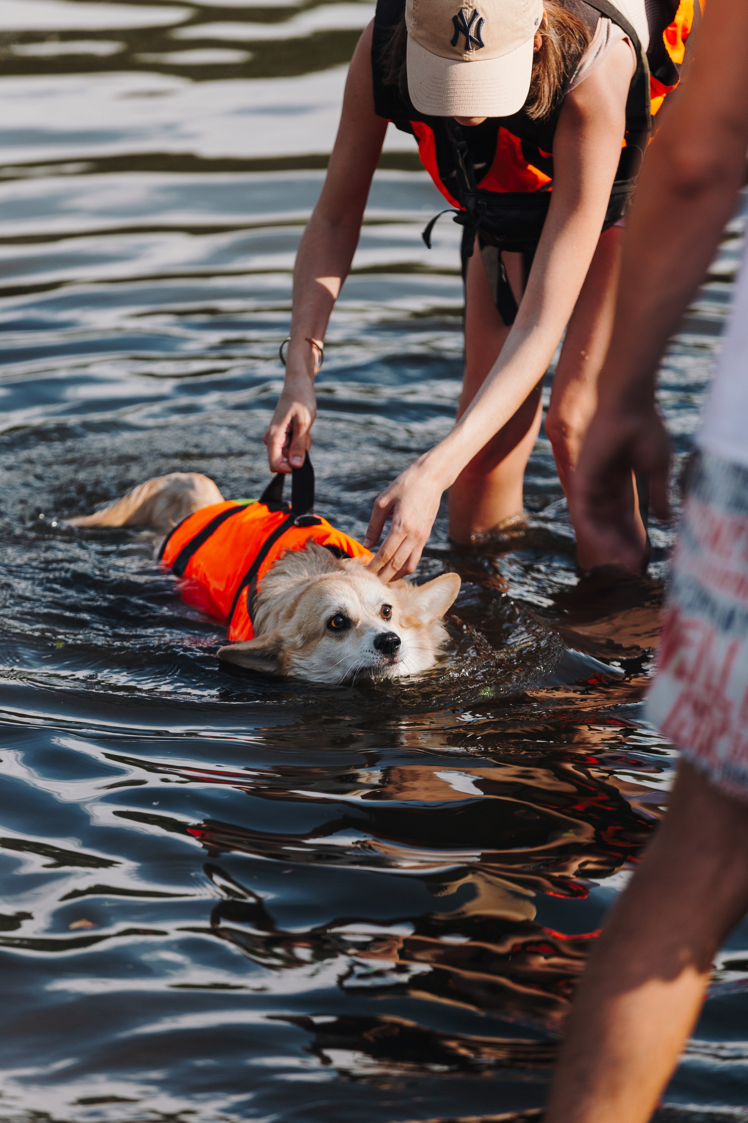 Petshop Sup day. Фотограф анималист Кристина Карпова, Москва