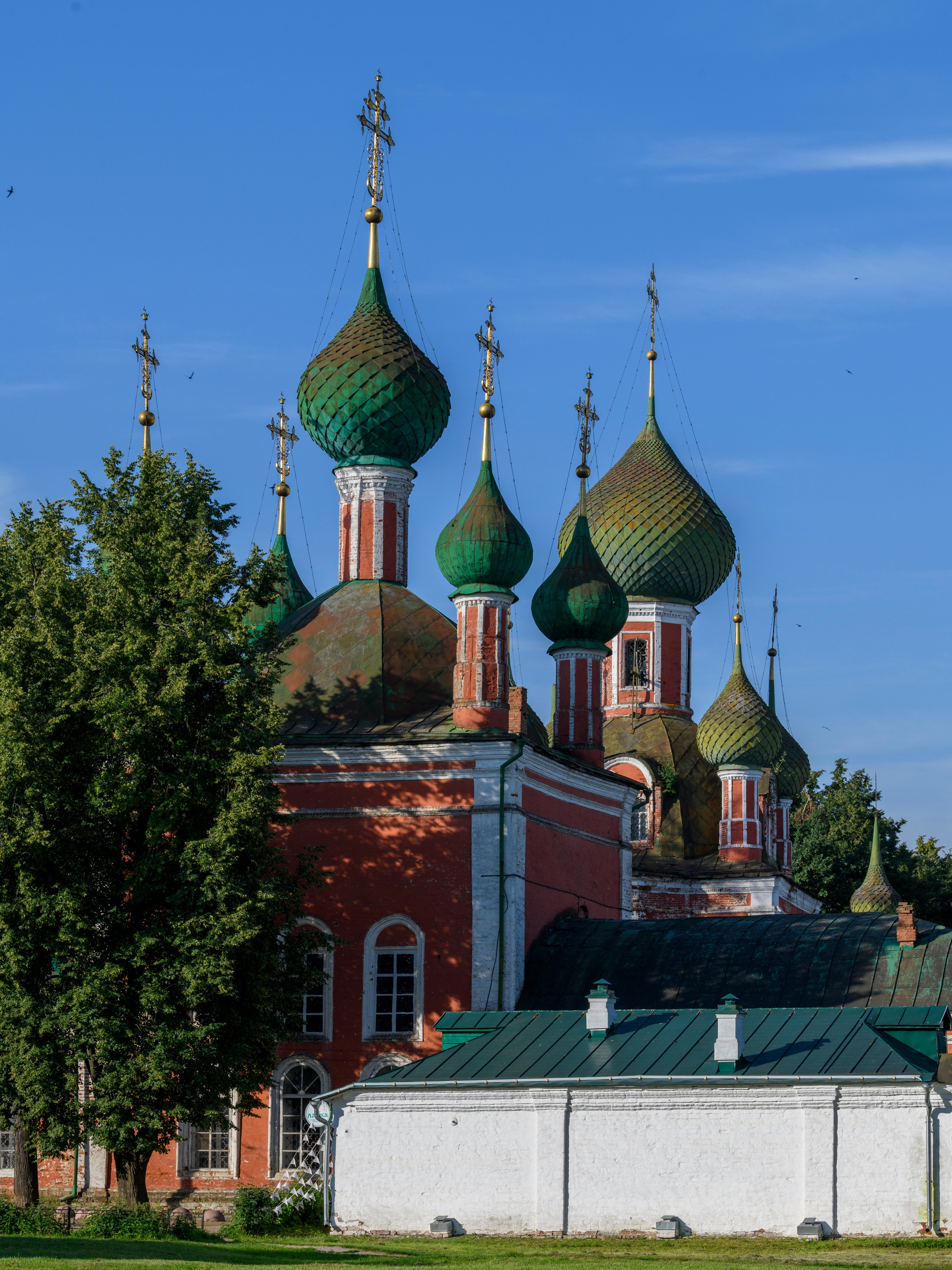 Переславль-Залесский. Wildlife photography by Sergey Puponin
