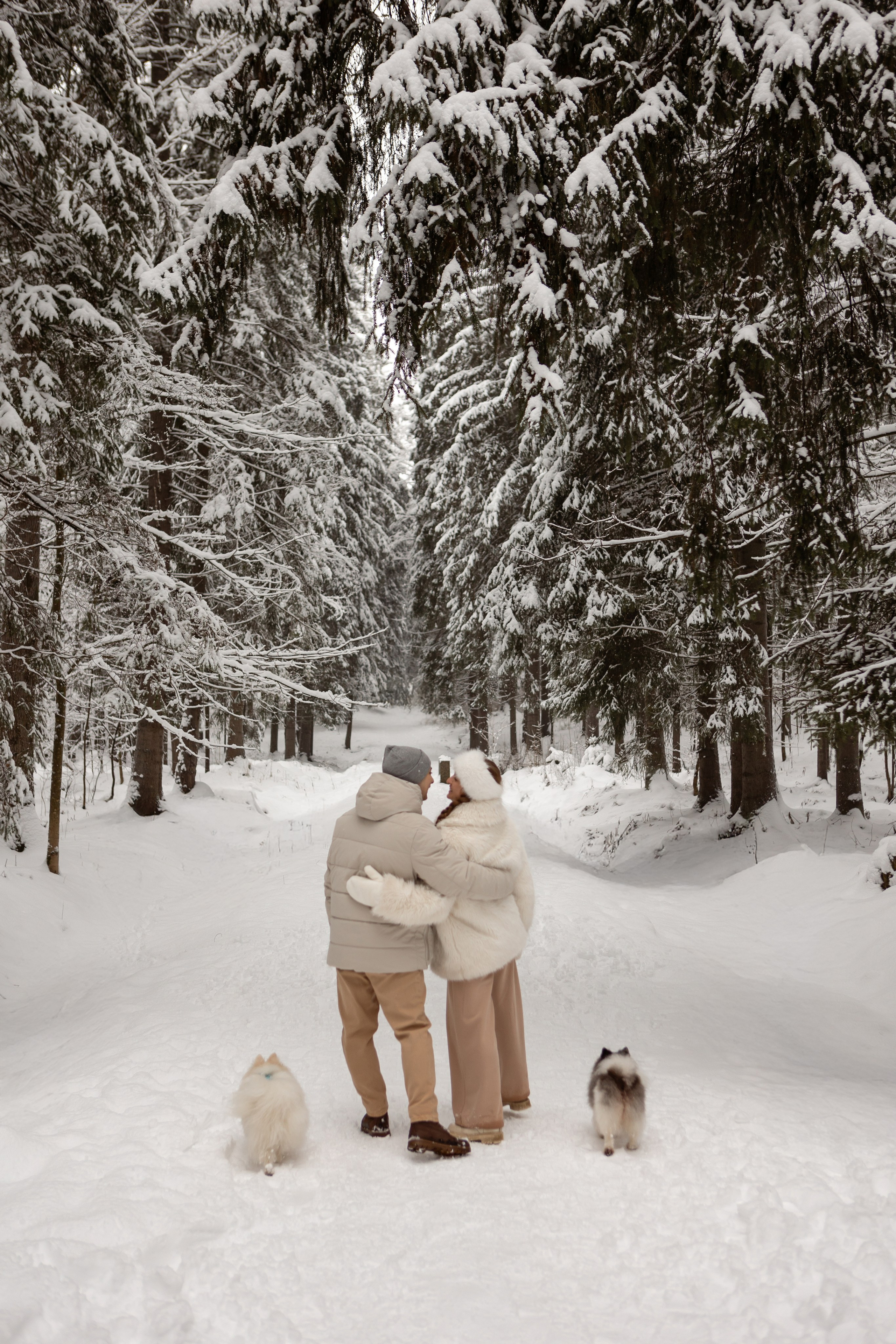 Новогодняя фотосессия с собачками в шуваловском парке. Свадебный фотограф в СПБ | Санкт-Петербурге Анастасия Рахимгулова