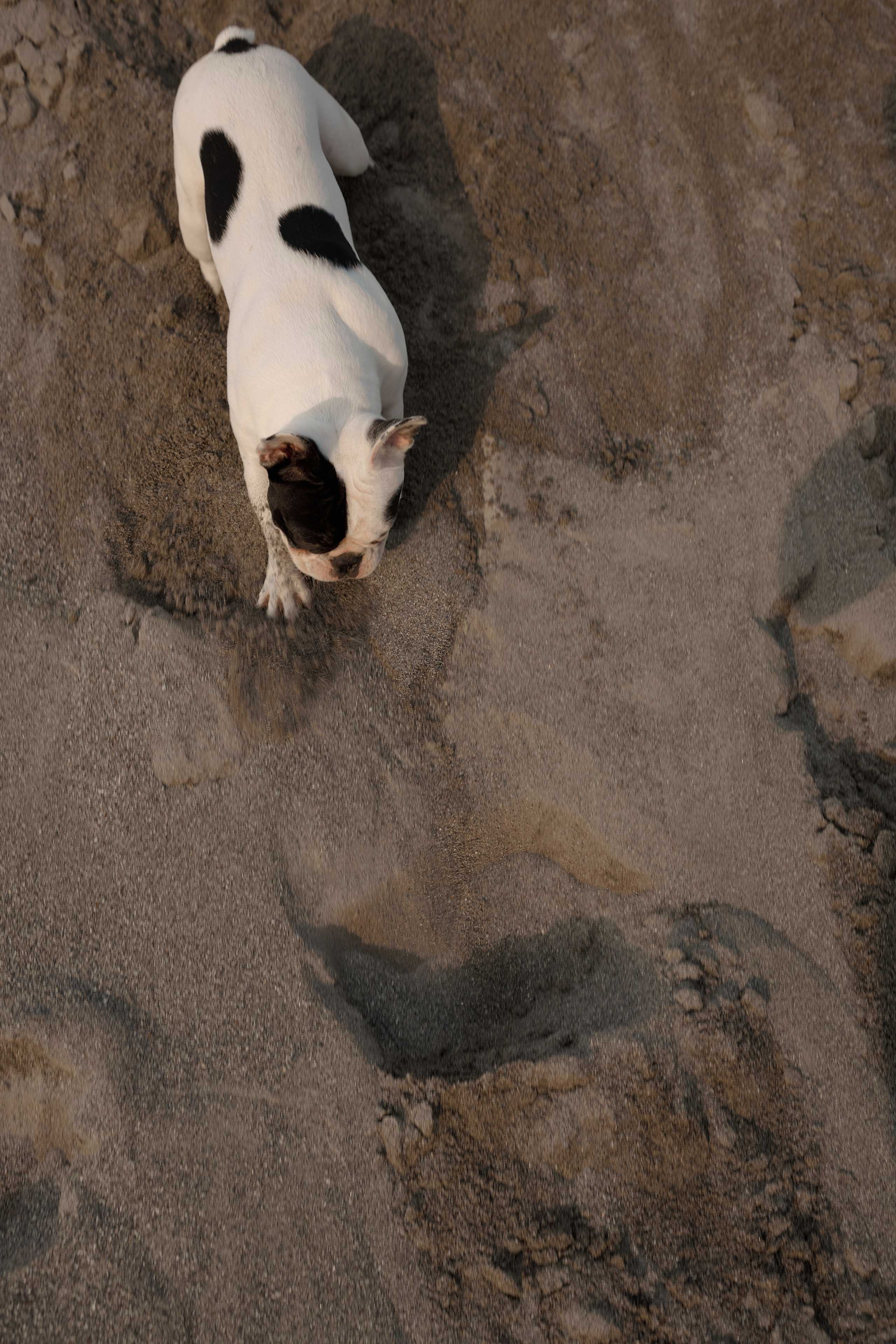 Пески. Свадебный фотограф Екатеринбург/Челябинск — Любовь Волохова