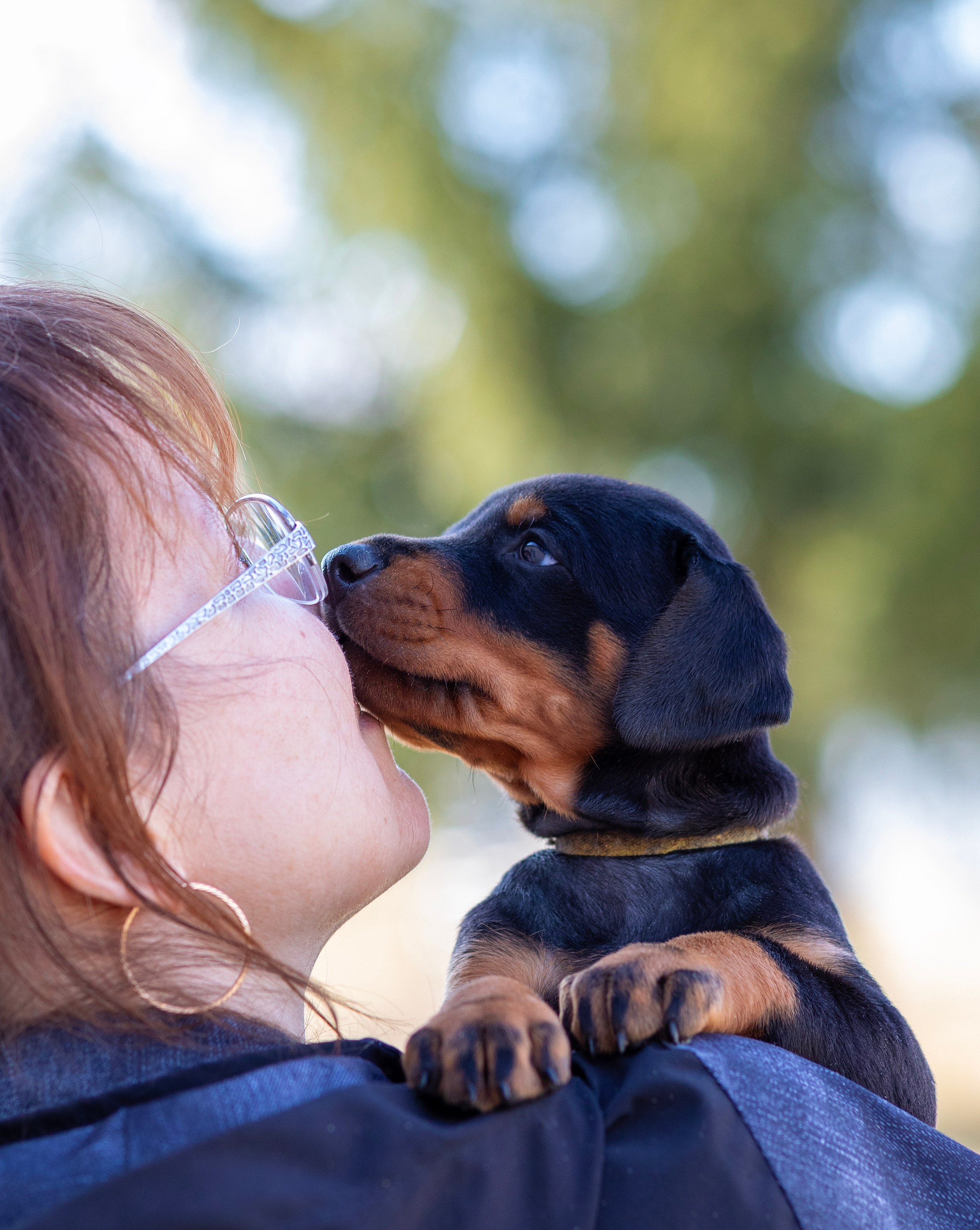 Доберман. Фотограф — анималист Татьяна Ли