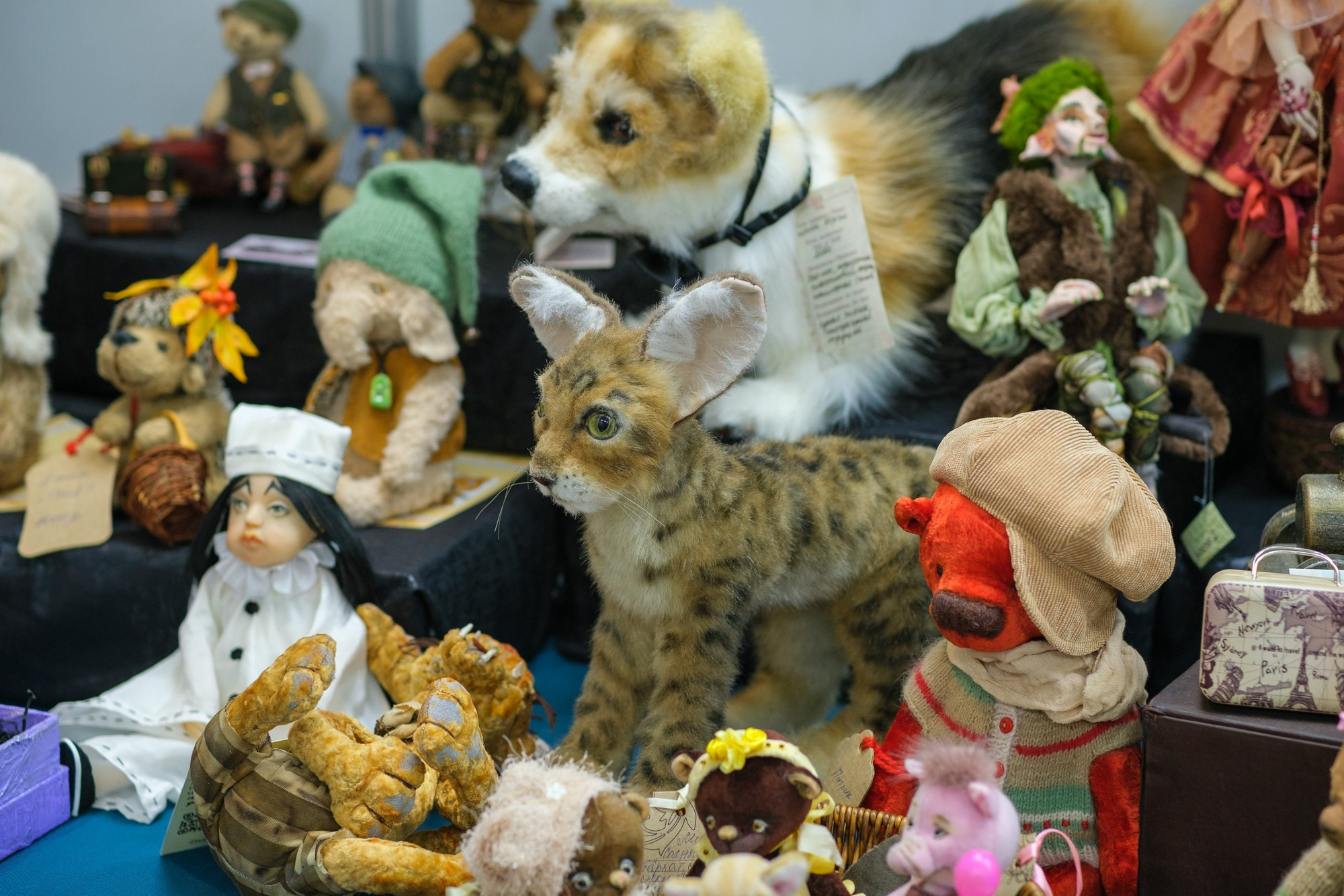 САКВОЯЖ 2024 (Осень). Фёдор Карпов — профессиональный фотограф, работаю в Москве и области