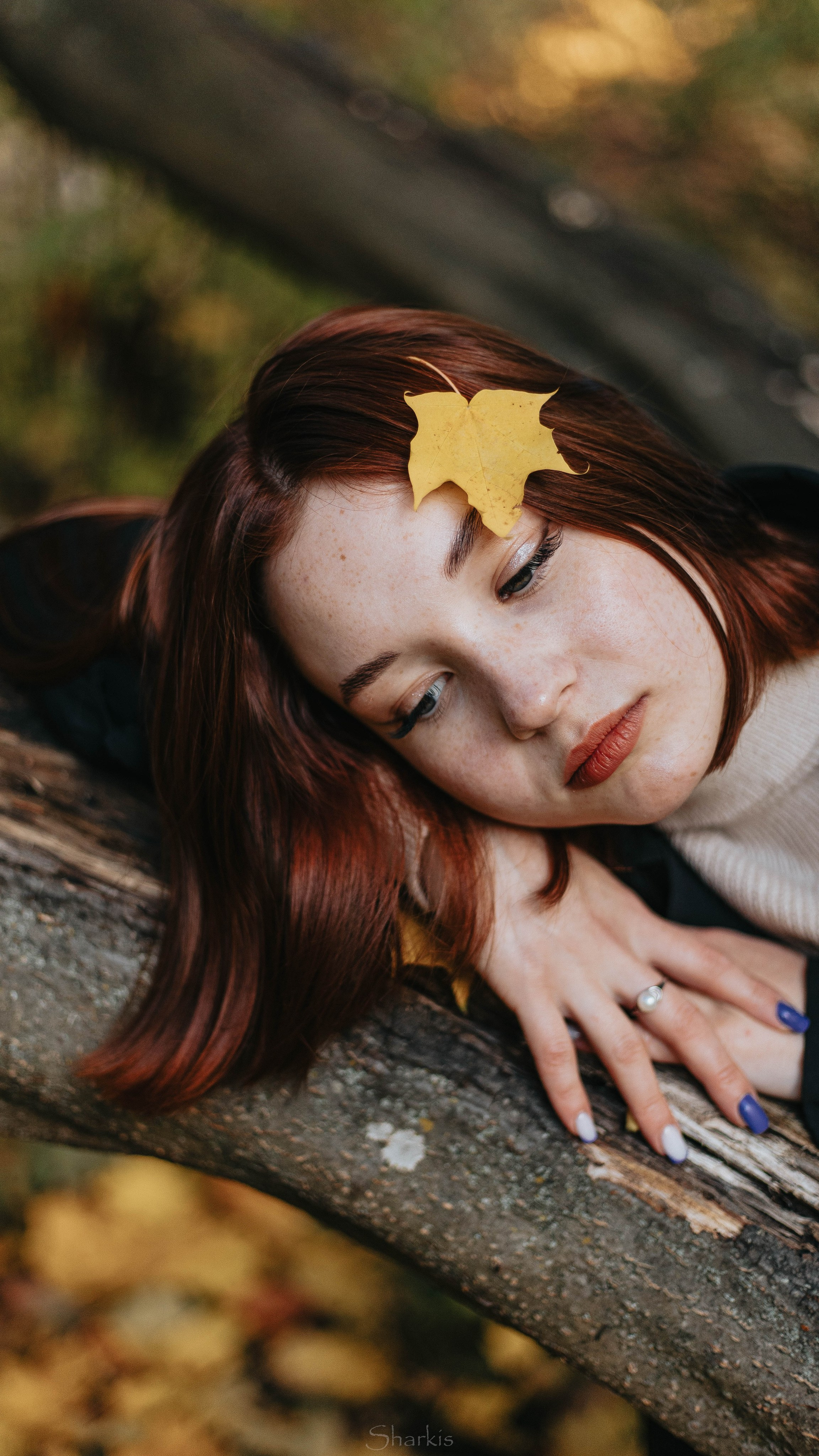 Света. Главная