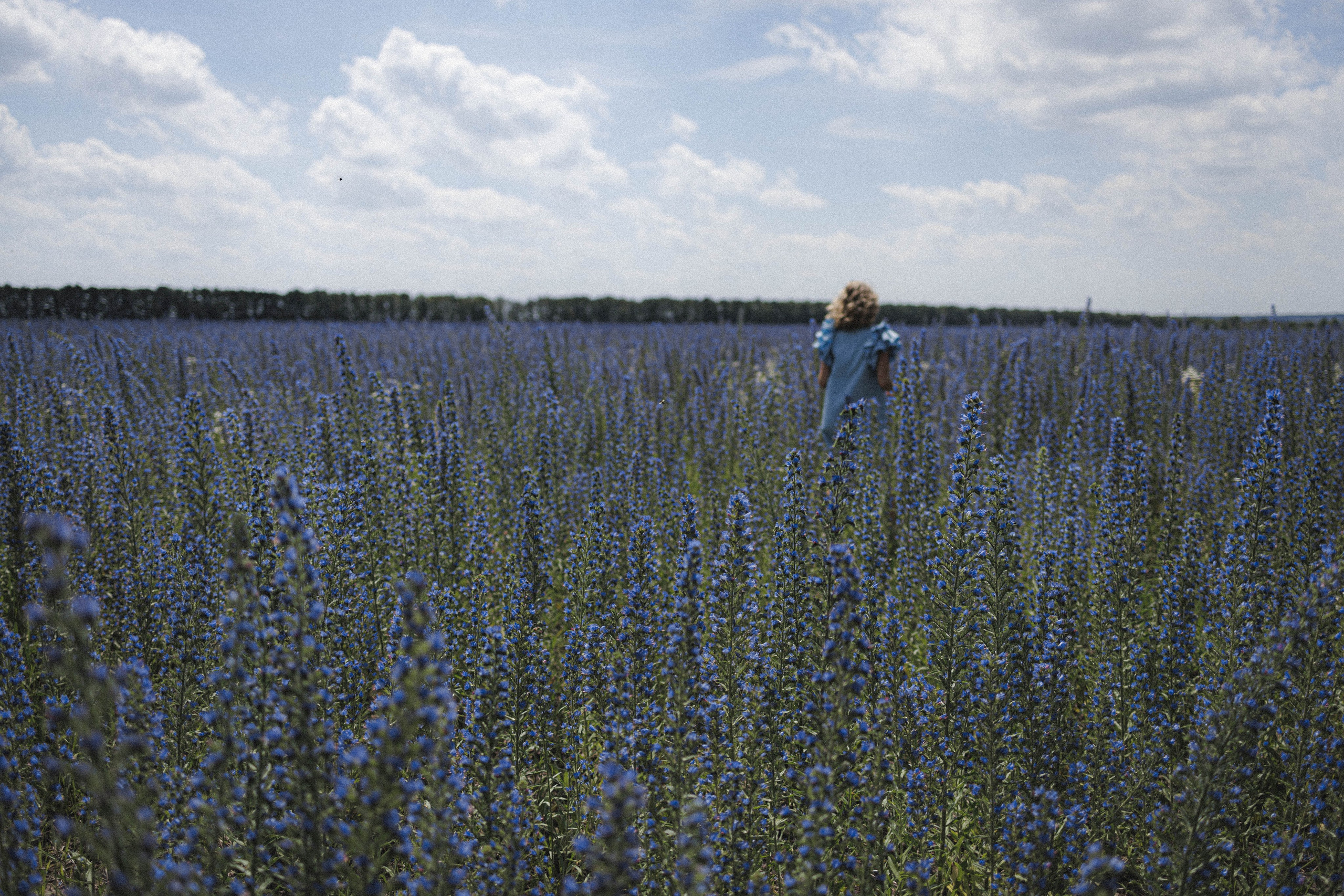 В ожидании чуда Алёна & Сергей, дети и собака. Коммерческий фотограф