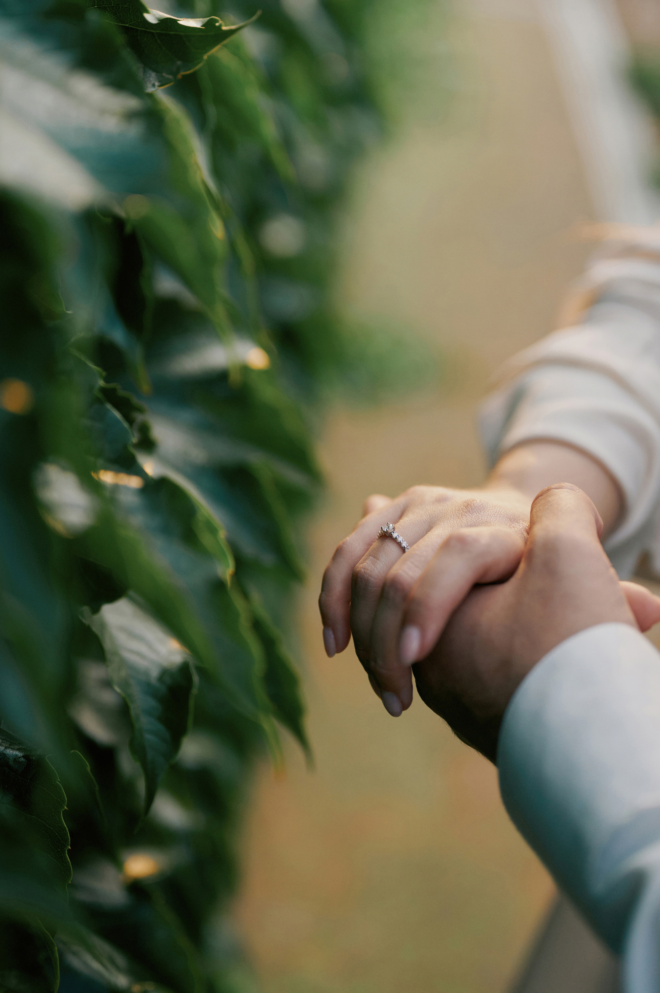 Диана и Никита. Свадебный фотограф в Ростовe-на-Дону Анастасия Прутова