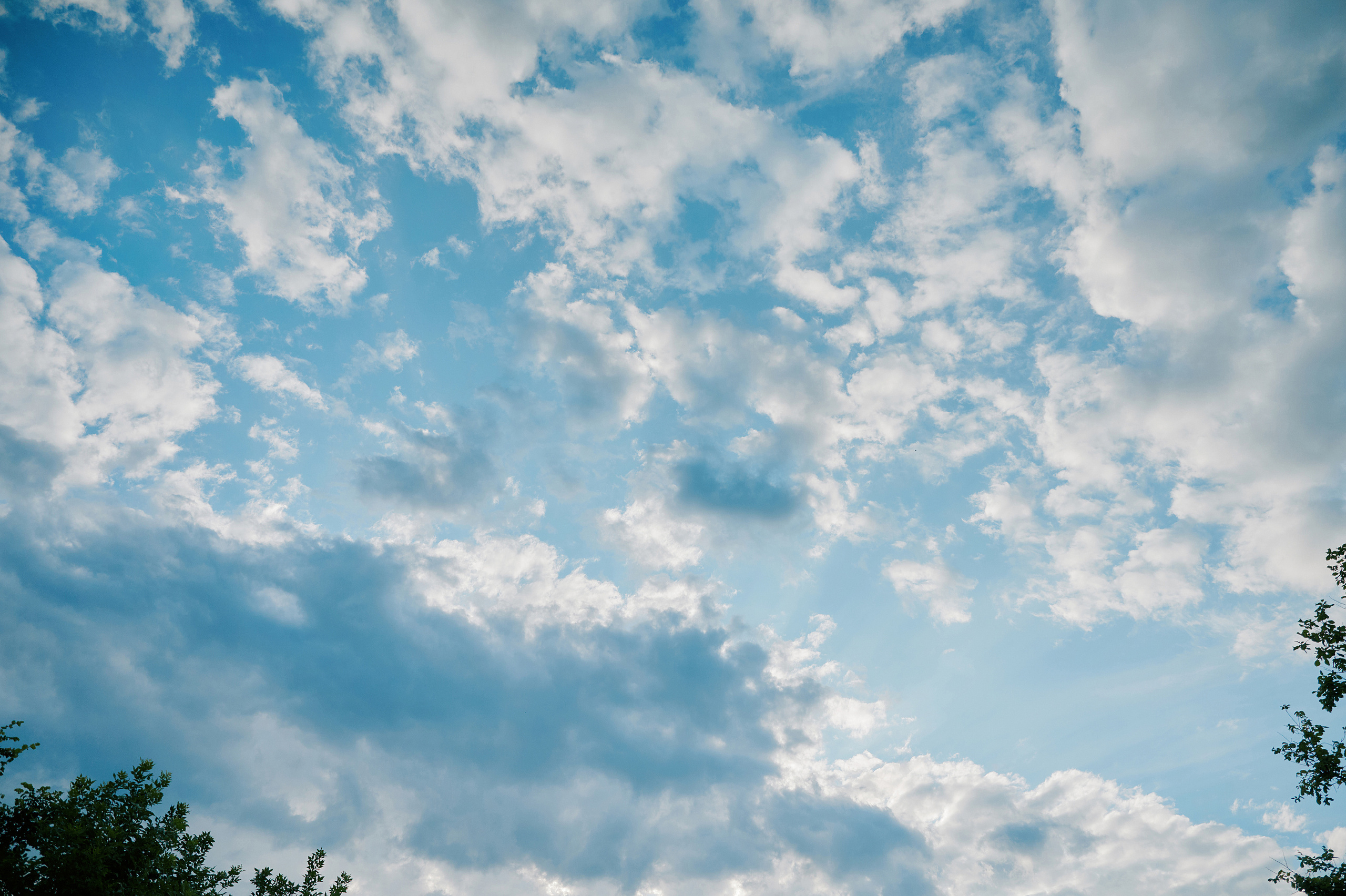 Выпускной ресторан Усадьба. Свадебный фотограф в Ростовe-на-Дону Анастасия Прутова