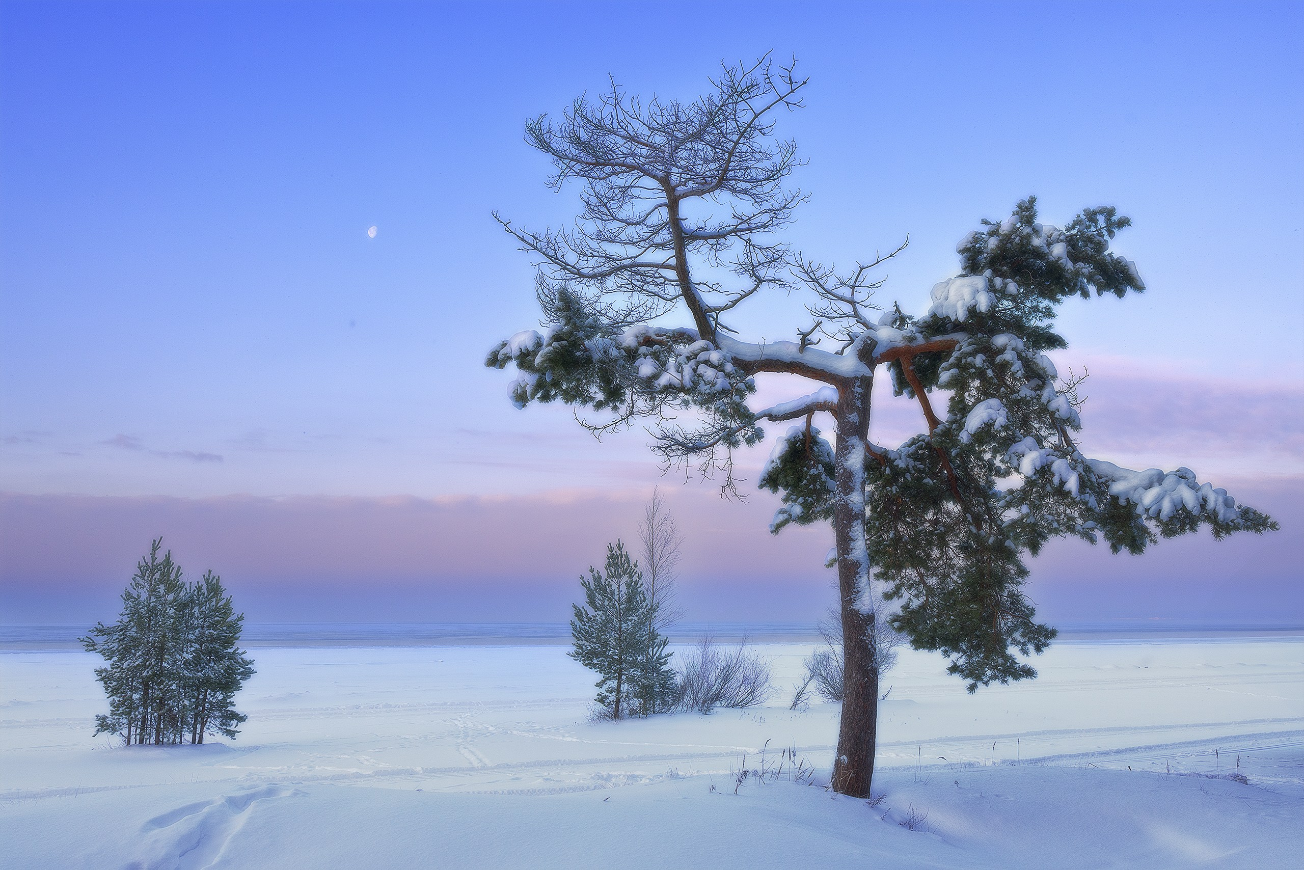 Пейзажи. Сайт фотографа Елены Михайловой. Фотосессии на пленэре в Сестрорецке