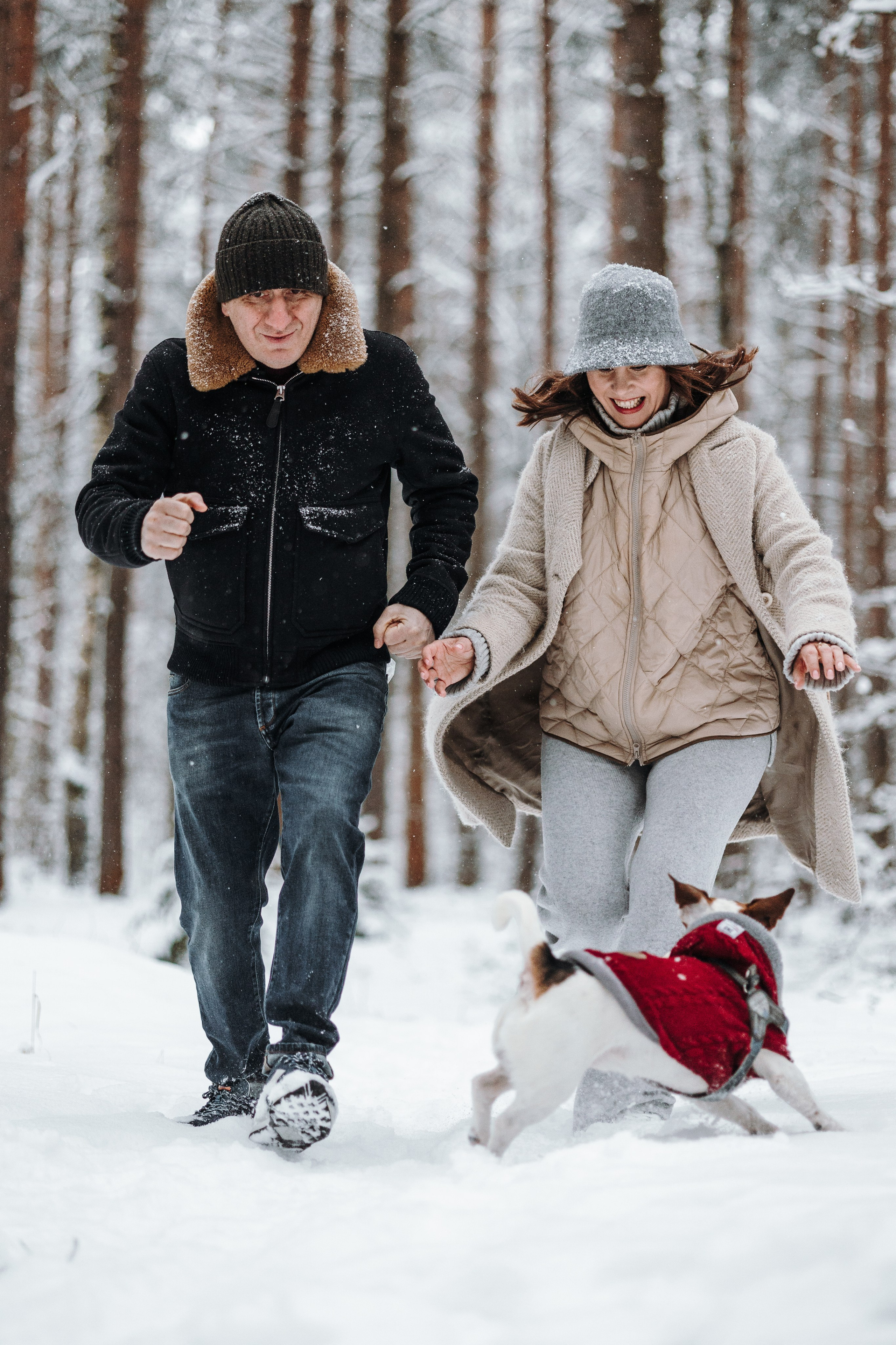 Мики и его семья. Фотограф — Анималист | Санкт-Петербург