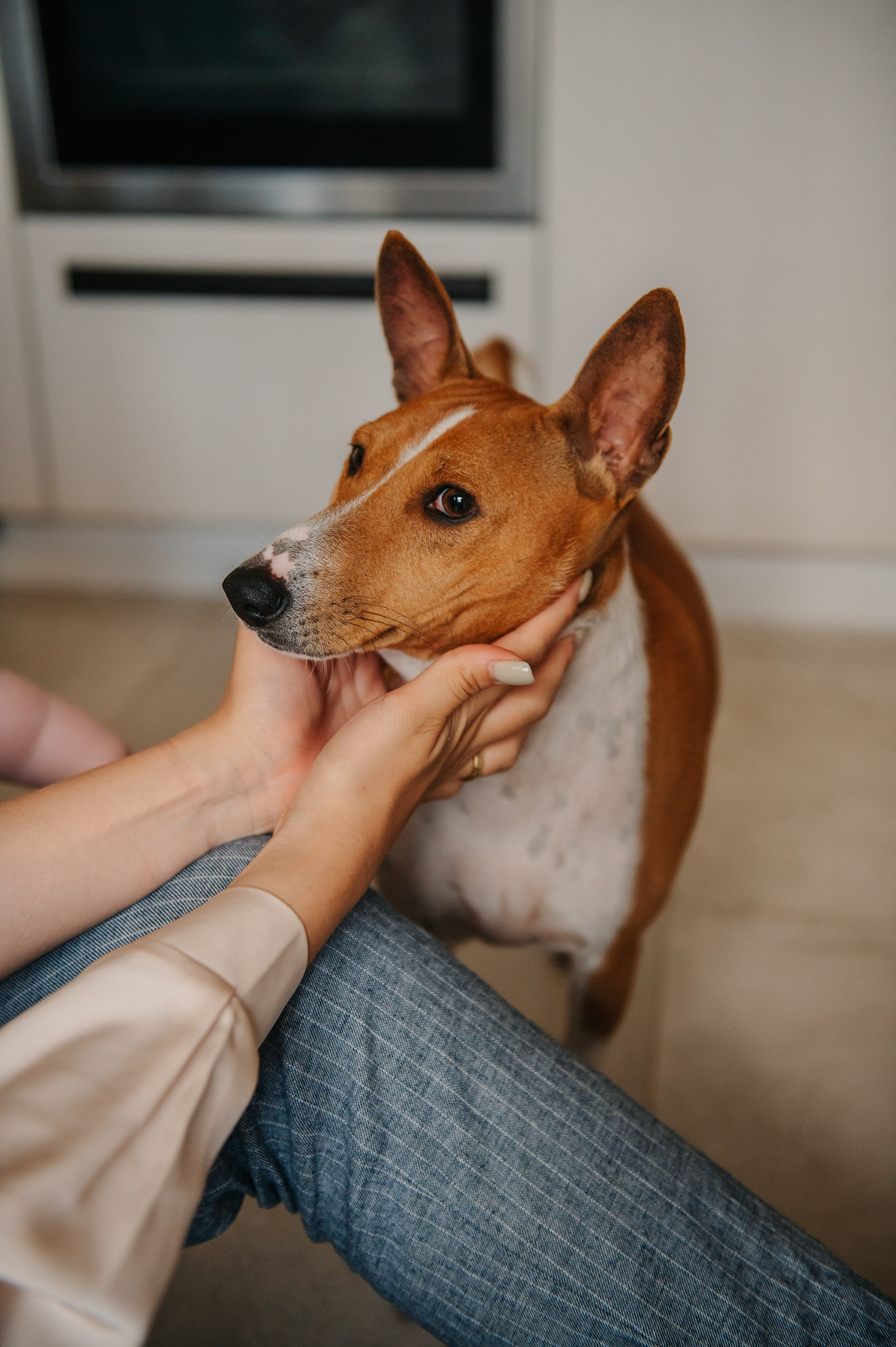Юля, Вова, Рома и их хвостики (Щелково, 2024). Анна Пушина, фотограф, Москва, Королев, Пушкино