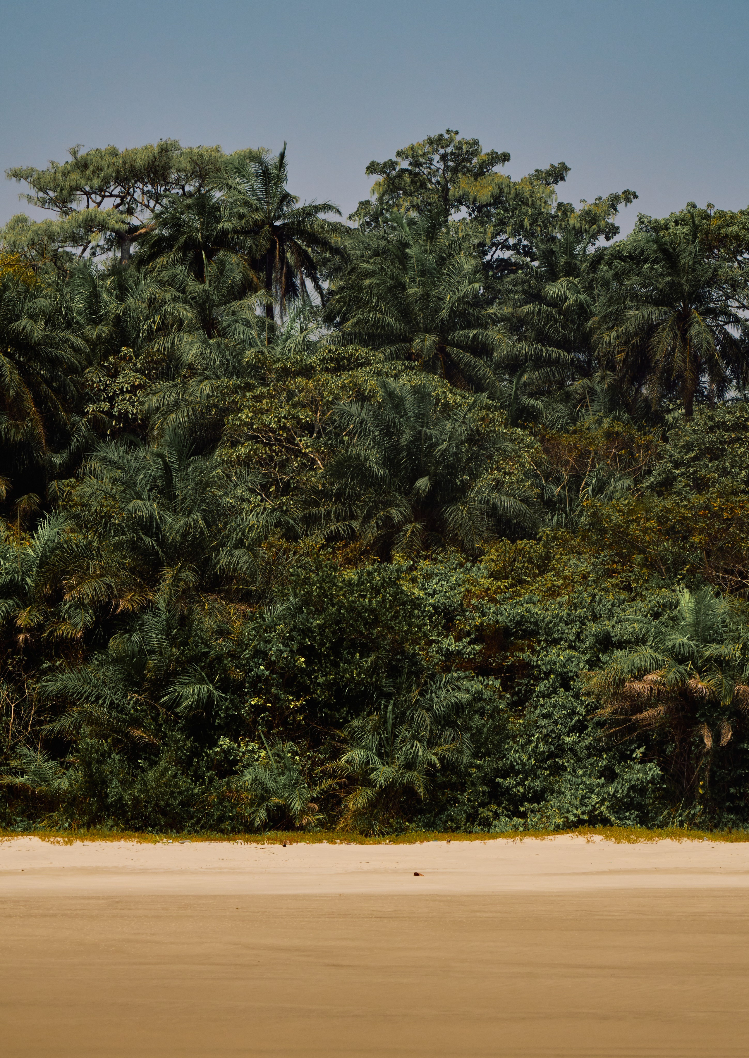 Archipelago Bissagos. See the moment and catche. commercial and reportage