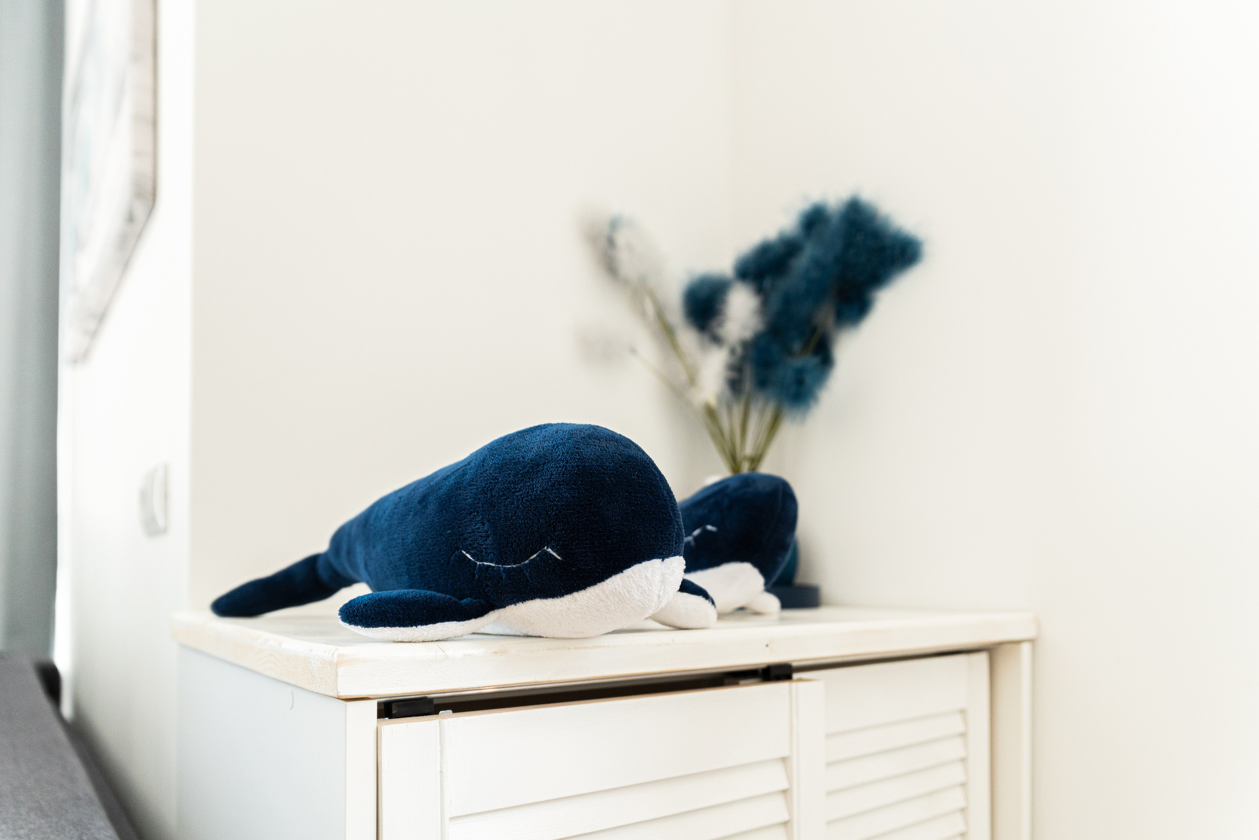 WHALE APART Apartments Svetlogorsk. Content shooting. KRIS KRUPINNIKOVA