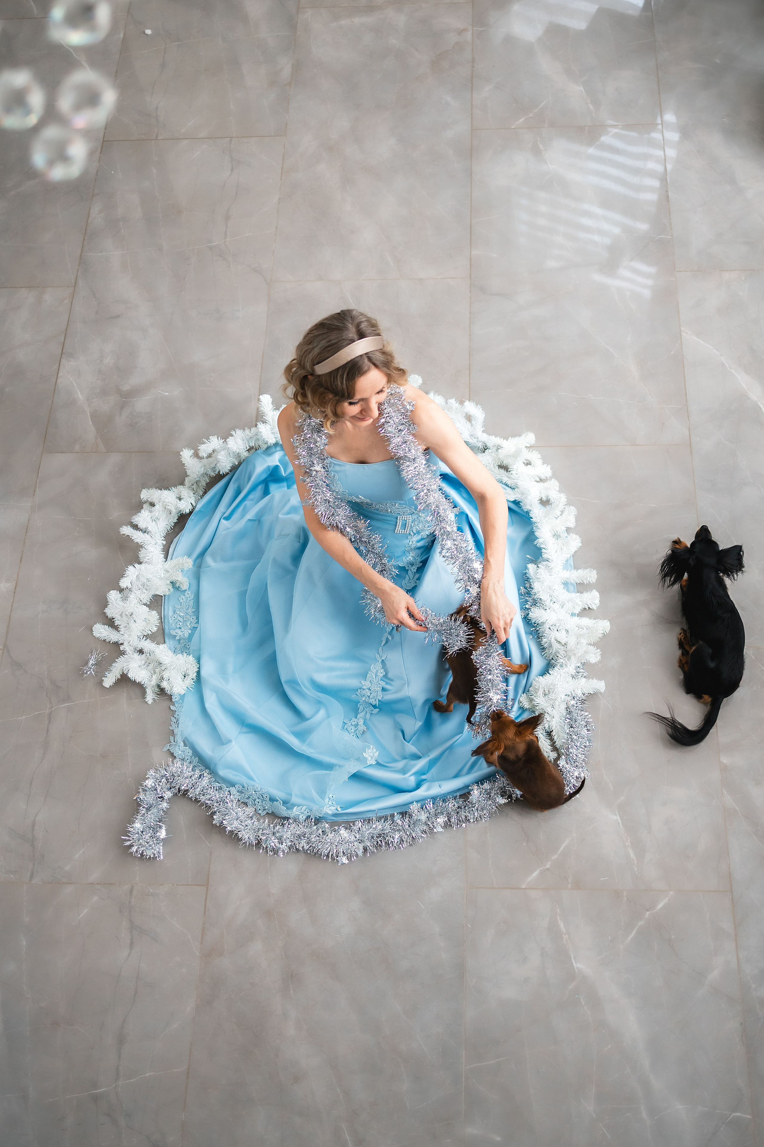 Домашняя съемка. Фотограф Анималист в Москве Анастасия Жучкова