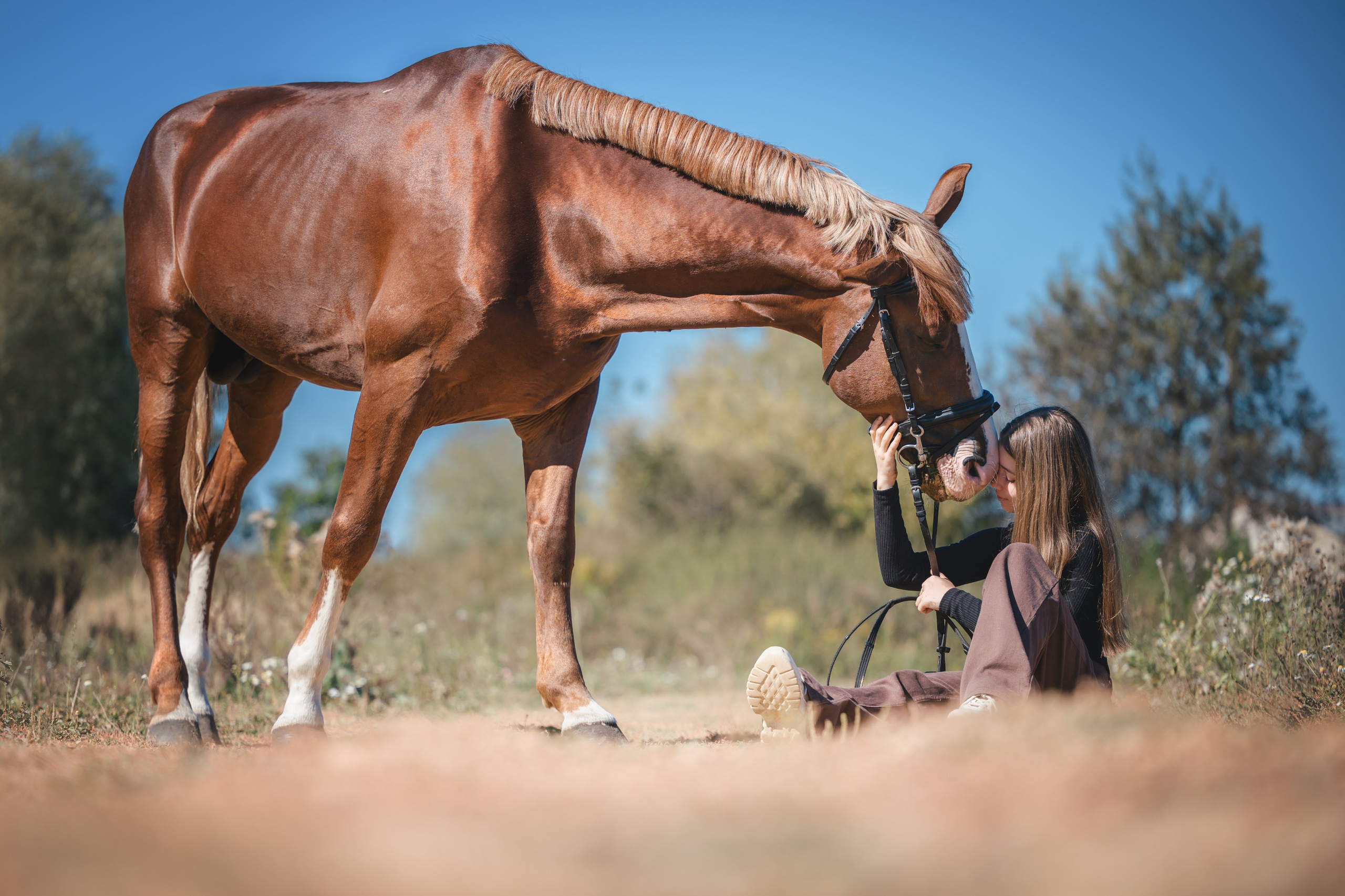 Виктория и Лео. Фотограф Анималист в Москве Анастасия Жучкова