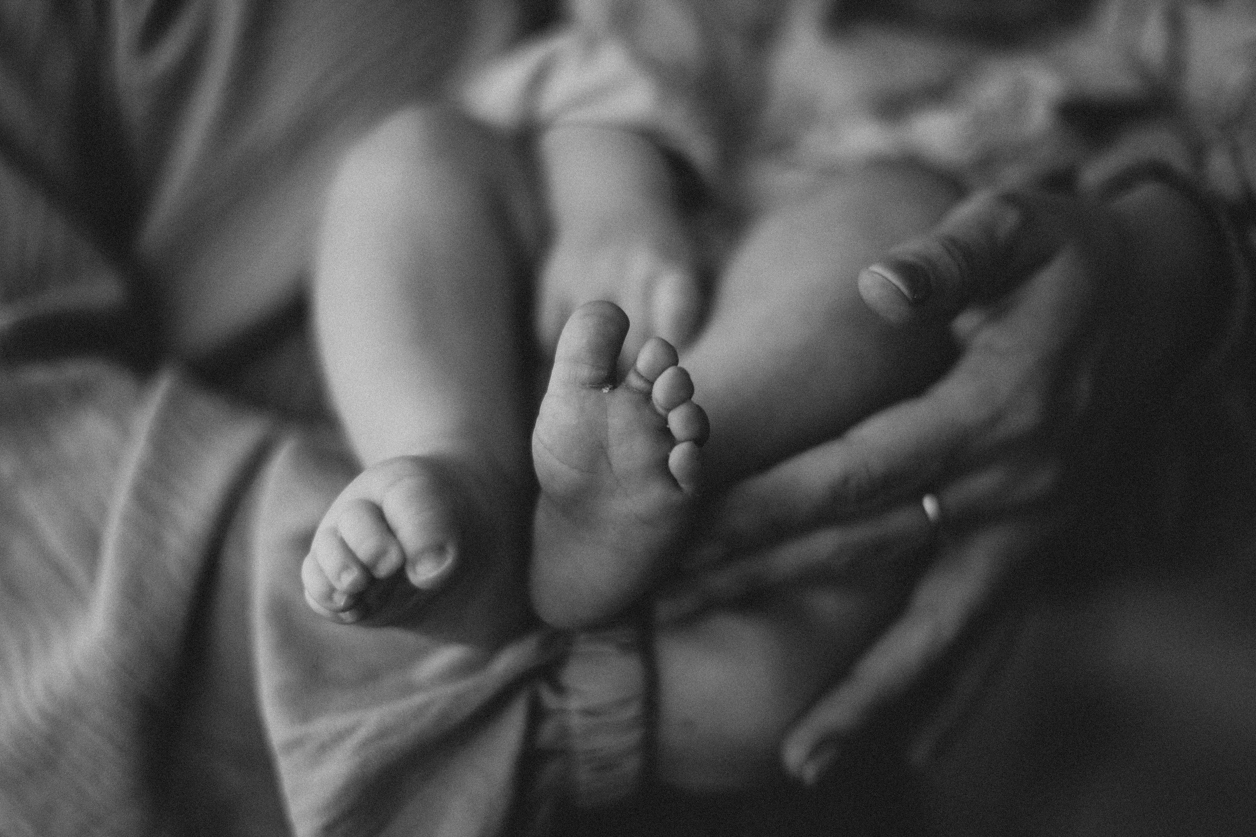 Александра. Семейная фотография в Санкт-Петербурге Елизавета Шепель