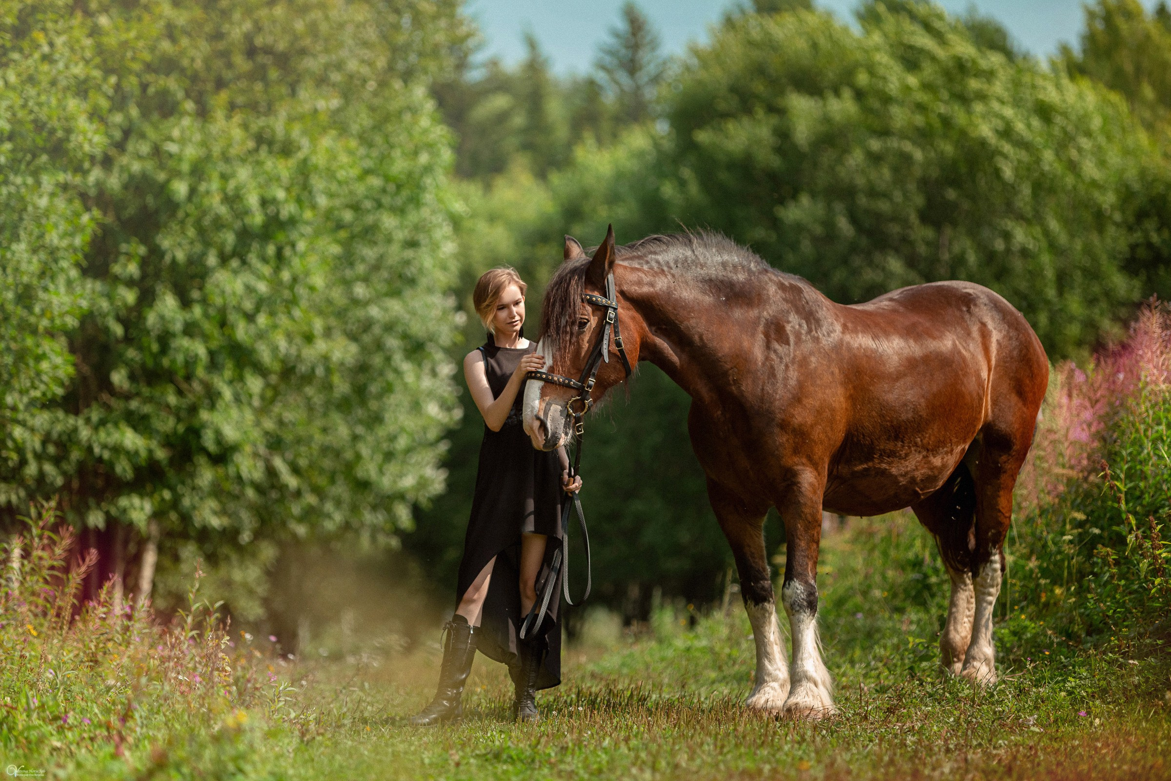 Фотосессии с лошадьми летом. Фотограф женский и мужской портрет Санкт-Петербург