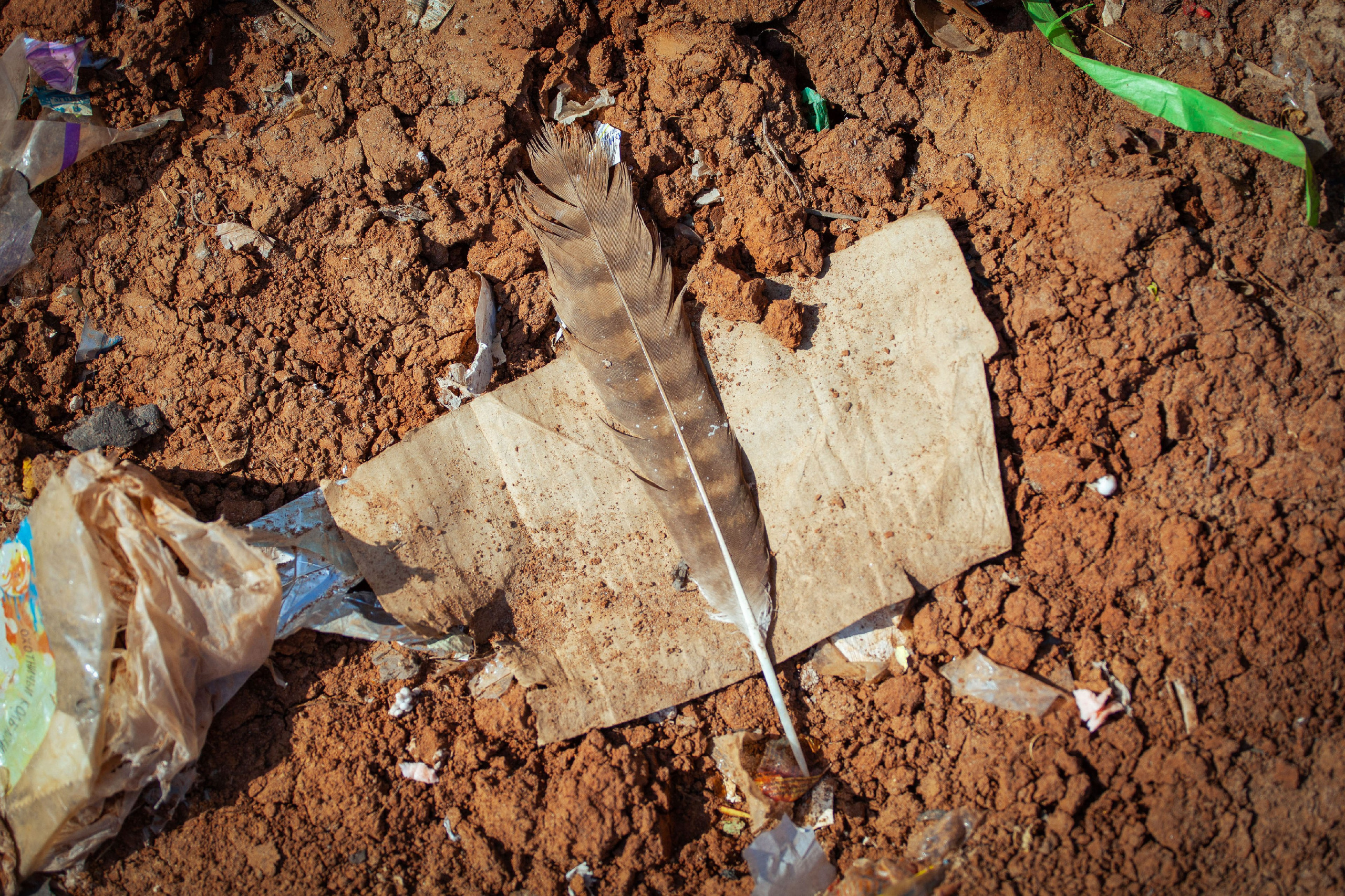 Анализ ижевского полигона ТБО [10-11 августа 2021 г.]. Фотограф Виноградов Константин