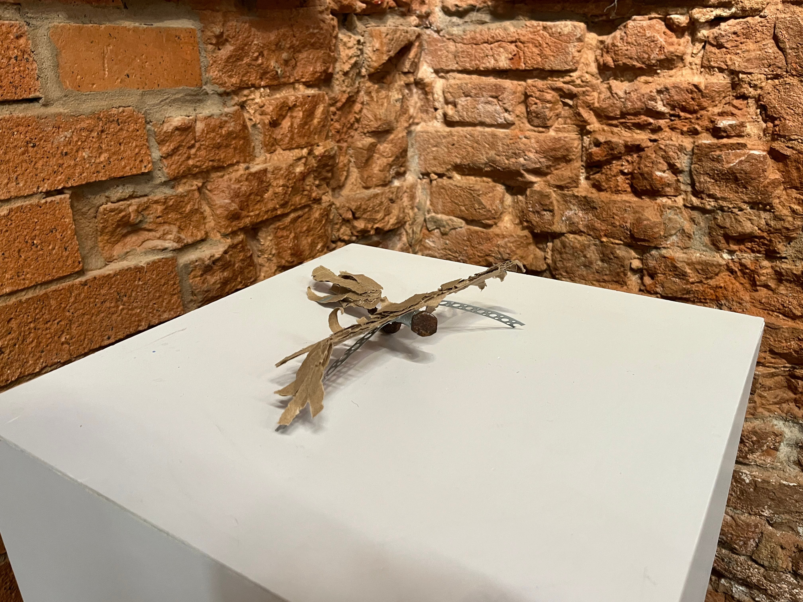 The story of J. Home