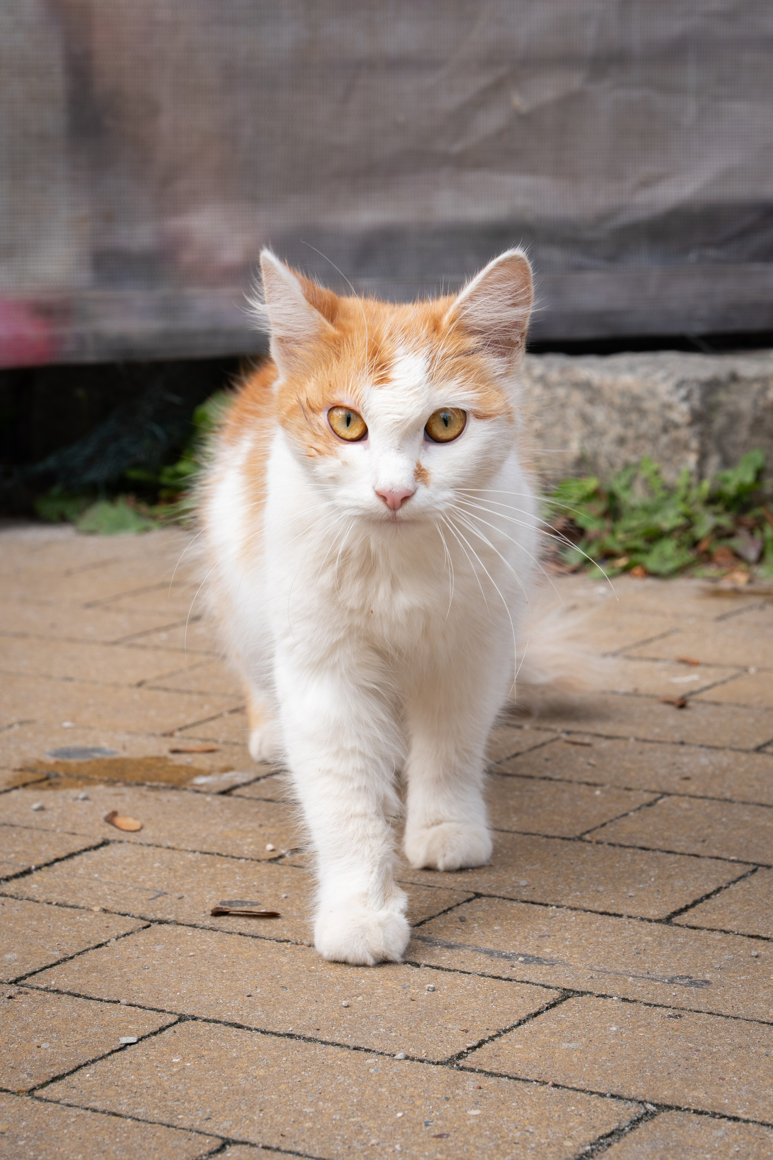 Калининградская область. Gusarov Travel Photography