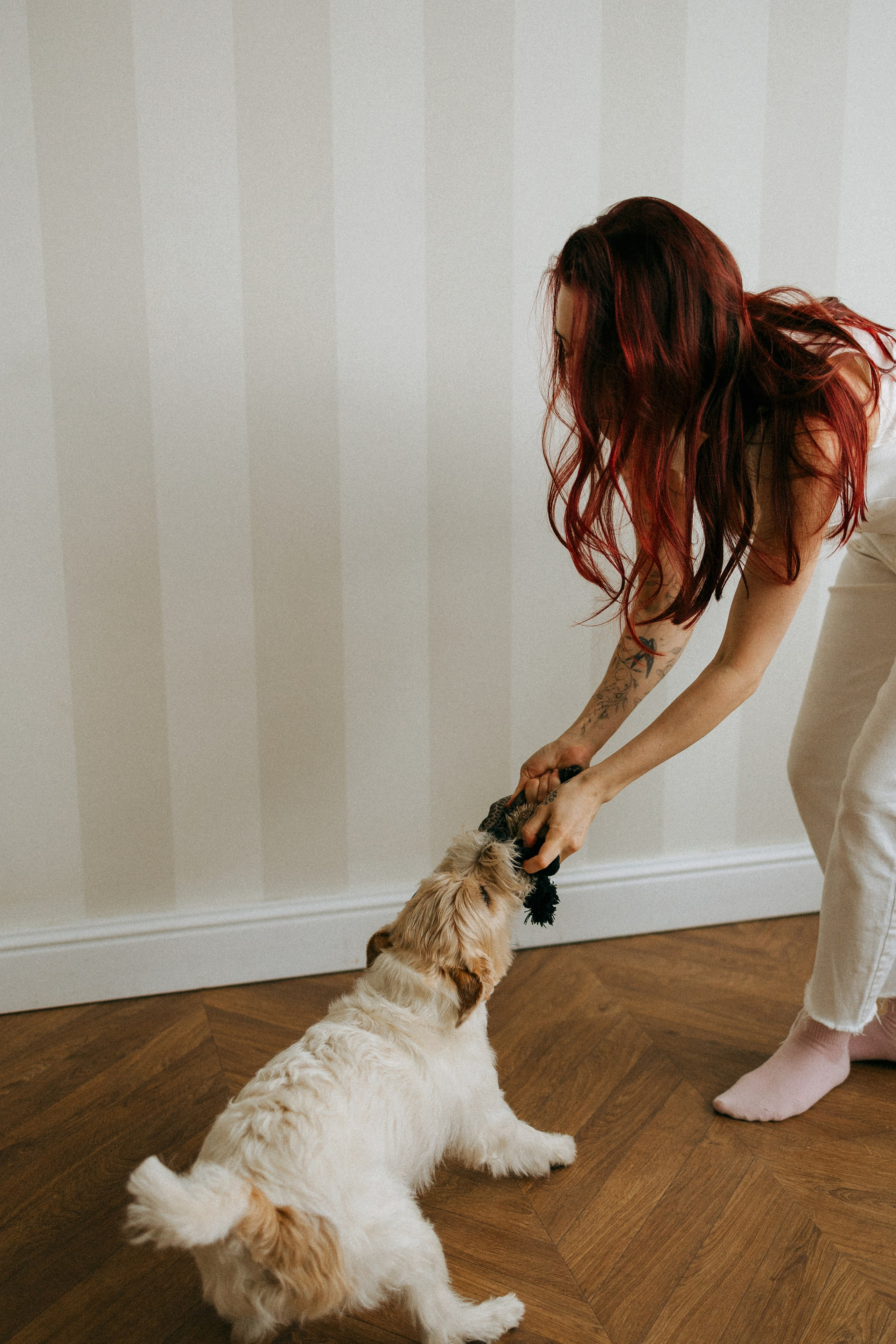 Цунами, Теон и Женя. Фотограф анималист Анастасия Пикей