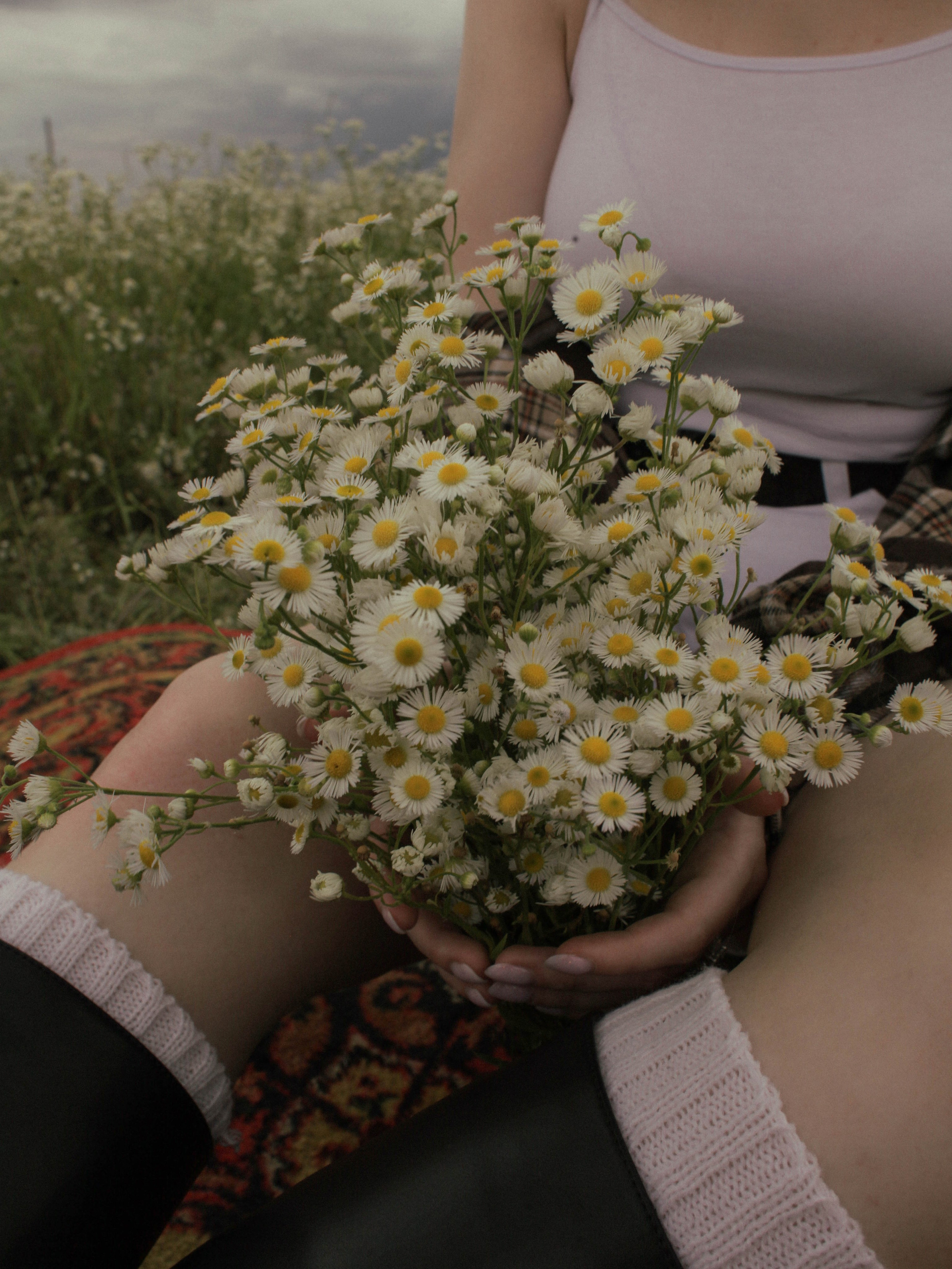 Дарья | Chamomile field. Селивантьева Кира | Фотограф в Москве и МО