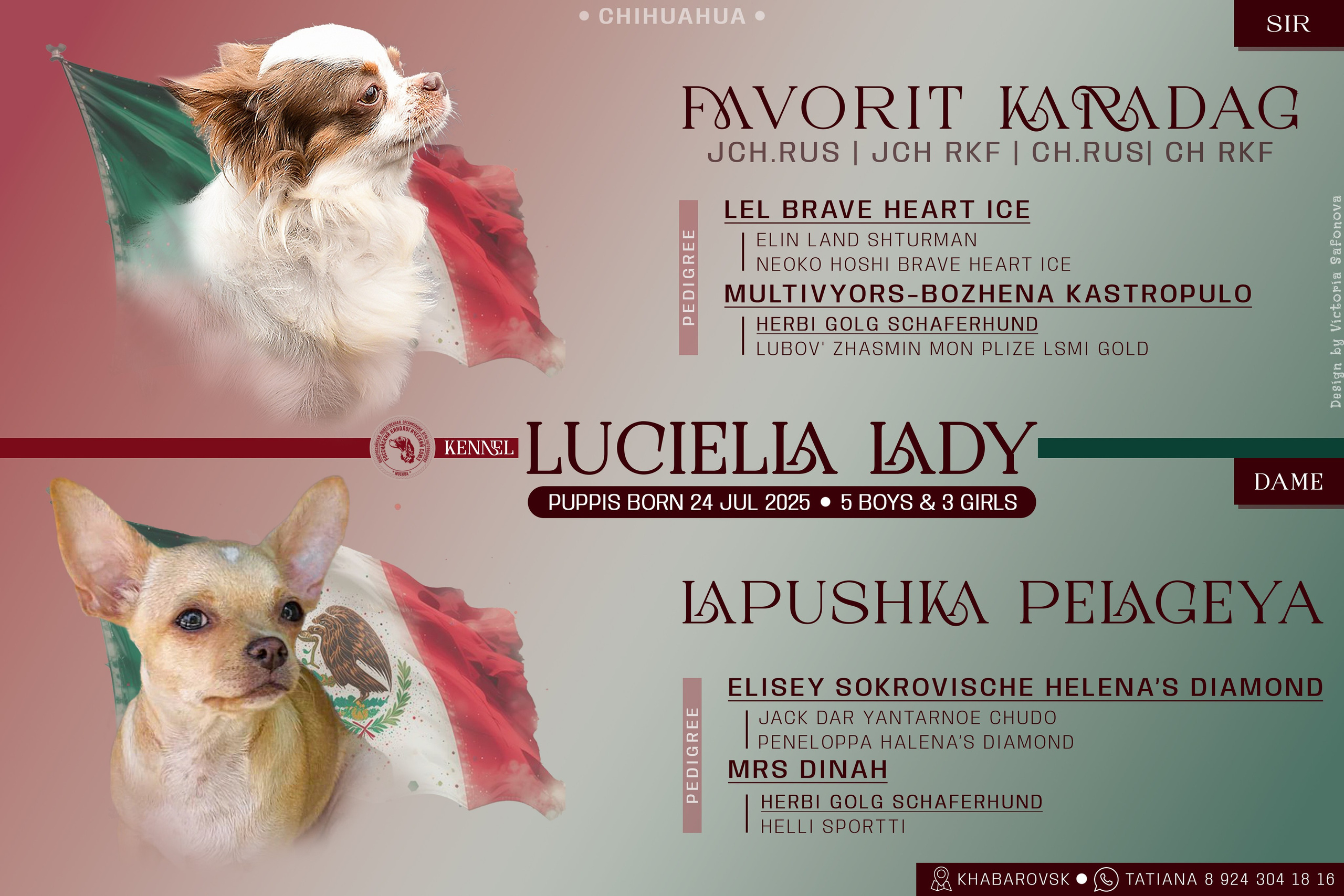 Анонсы помётов. Фотограф анималист Благовещенск. Сафонова Виктория