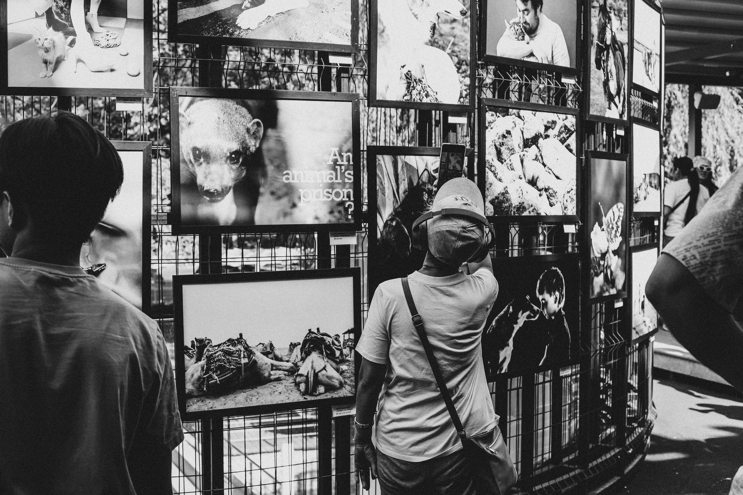 Выставки. Семейный и детский фотограф в Алматы Юровских Инесса