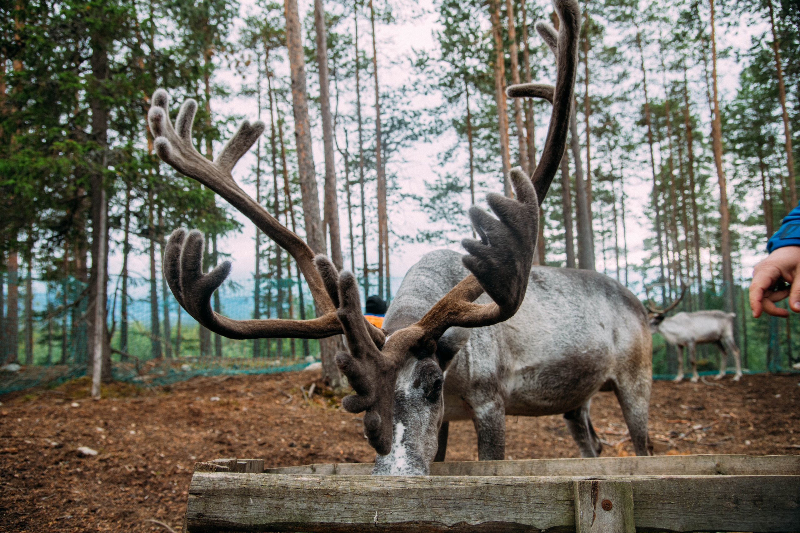 Кольский полуостров. Фотографирую для себя, своей семьи и друзей!