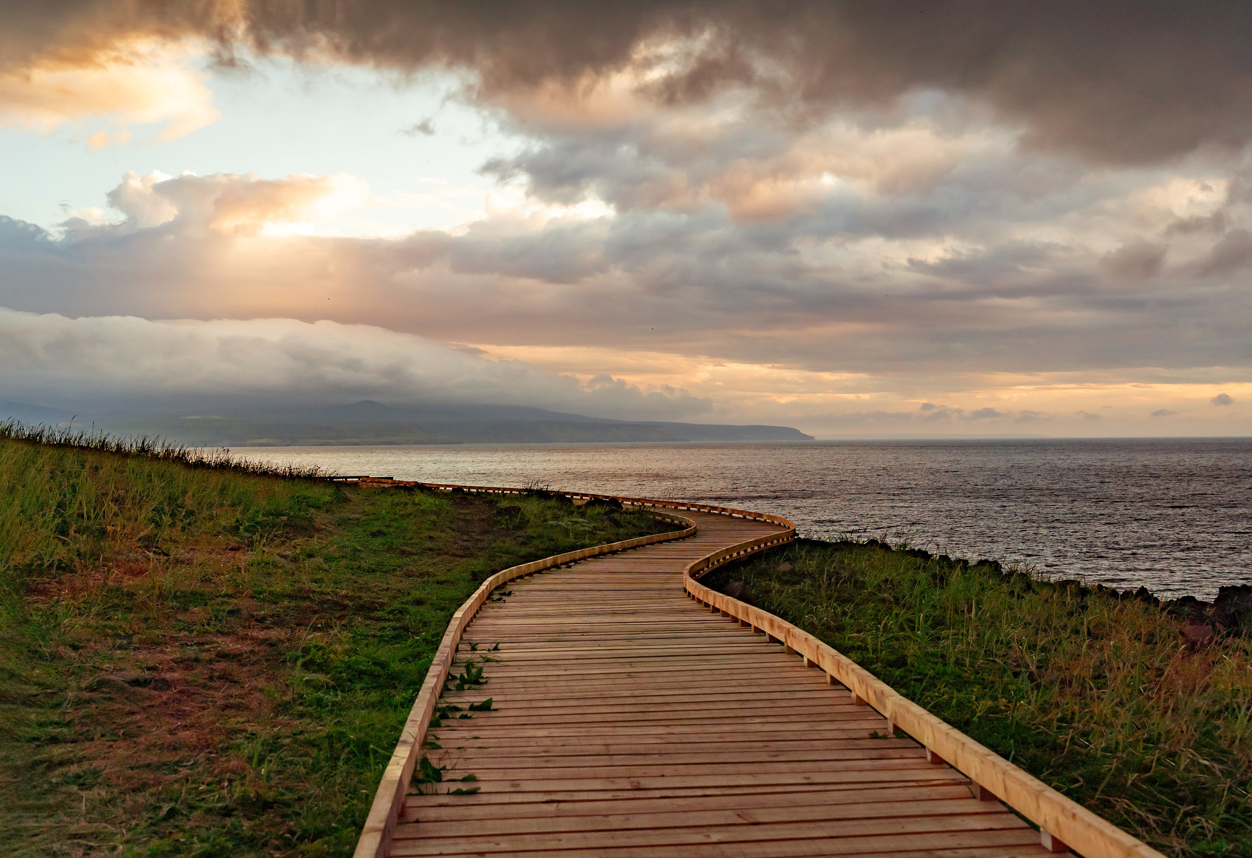 Итуруп. Семейный фотограф Варвара Сорока в городе Москве