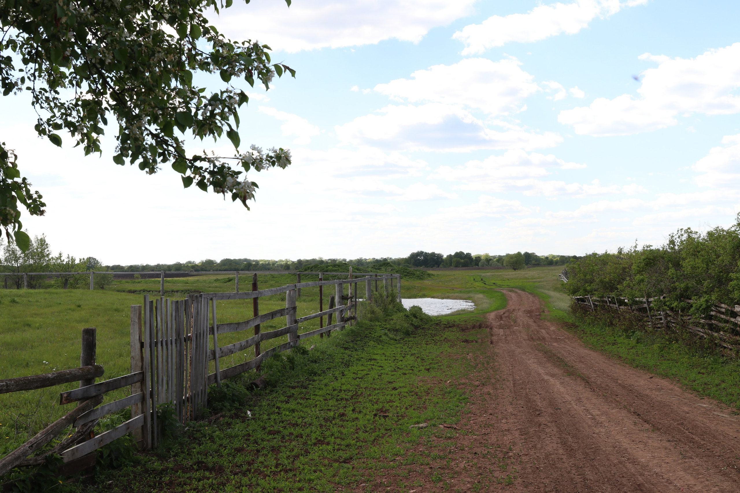 Велопоход Уфа — Мелеуз. Май 2024. Путешественник-фотограф из Санкт-Петербурга Татьяна Свистулина