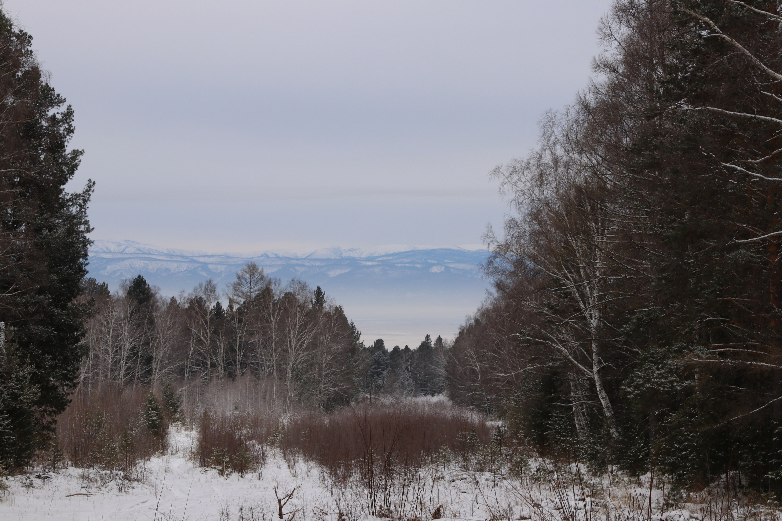 Аршан. Январь 2024. Путешественник-фотограф из Санкт-Петербурга Татьяна Свистулина