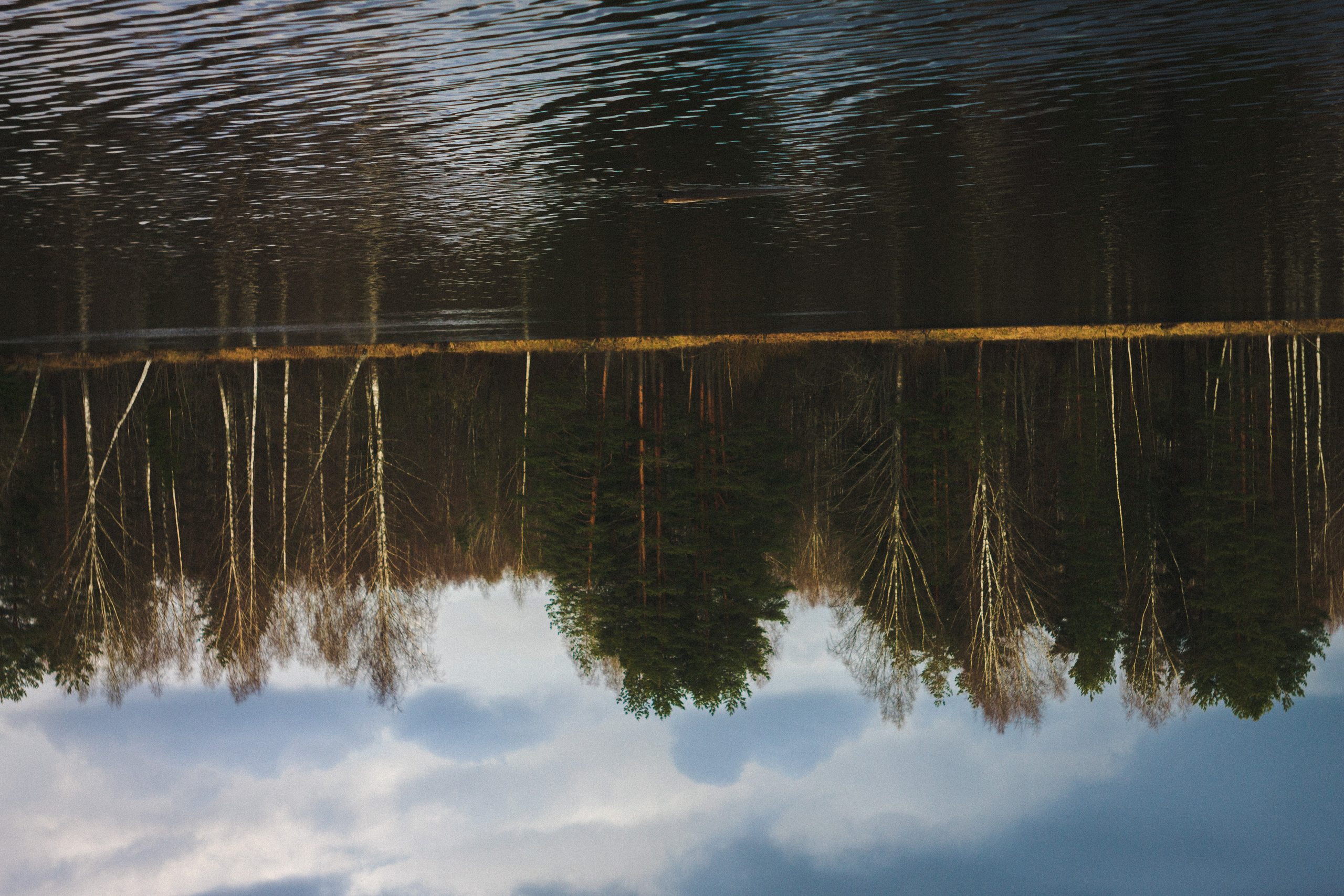 Деревня. Den Mirov — Photographer, Musician