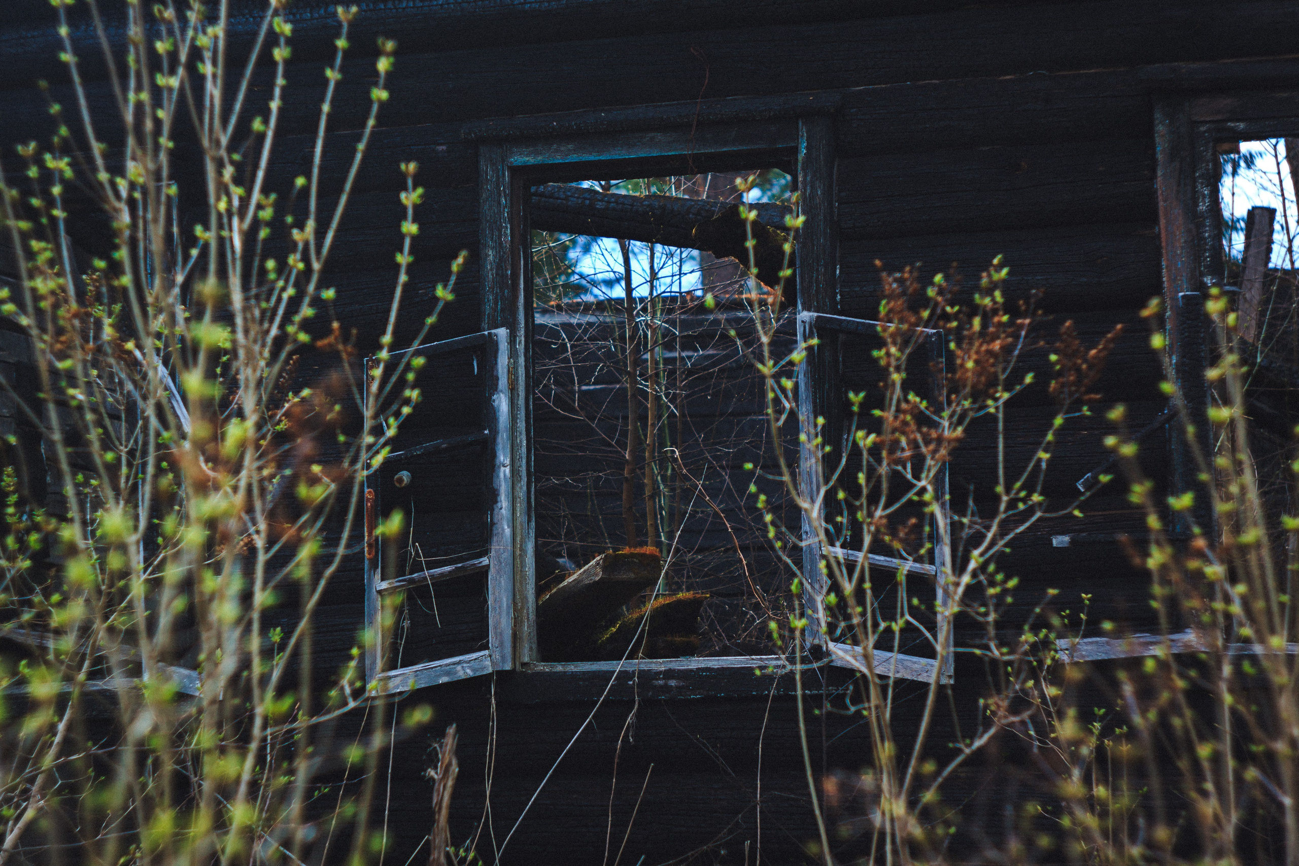 Glimpse. Den Mirov — Photographer, Musician