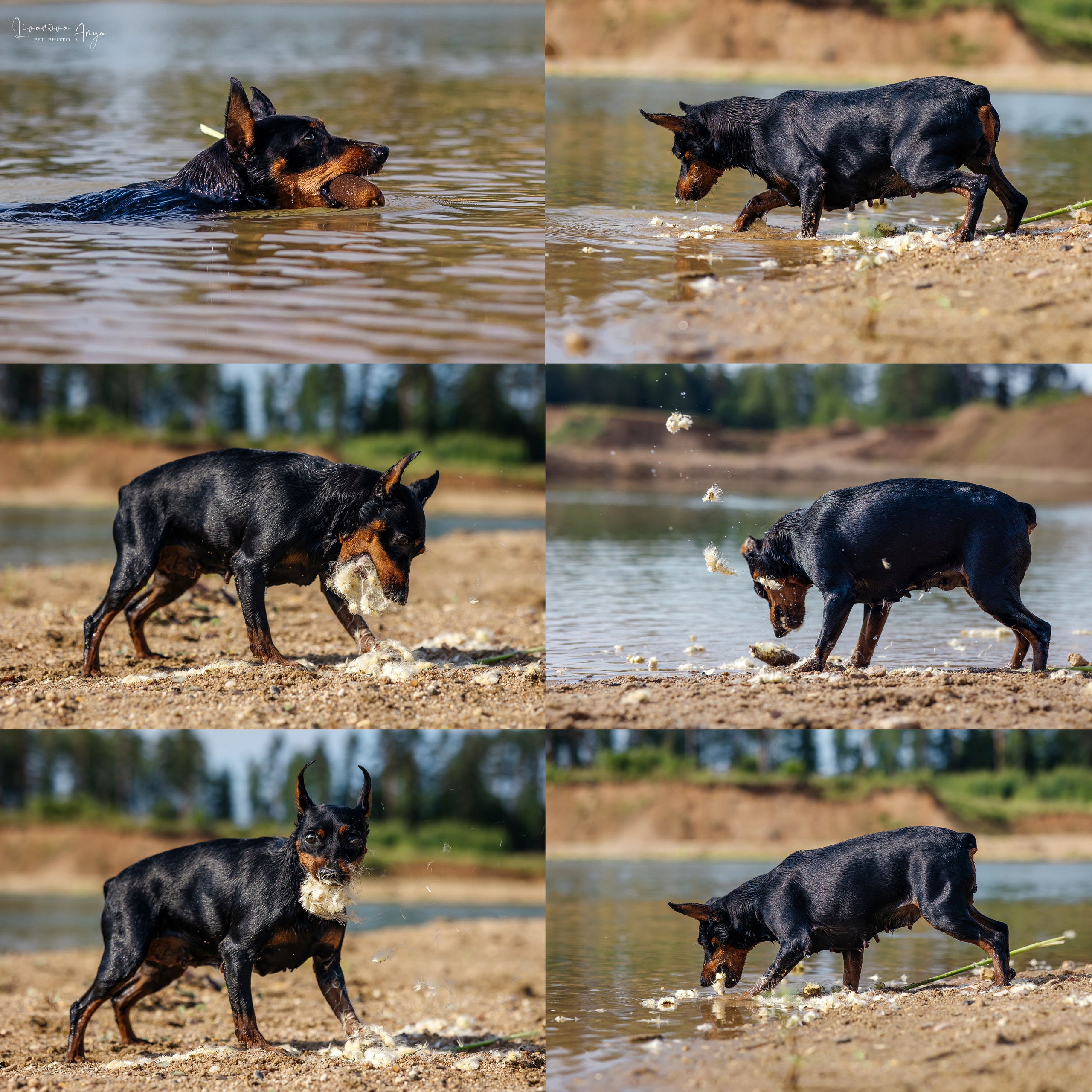 Троицкий карьер. Фотограф анималист Аня Ливанова | Рыбинск