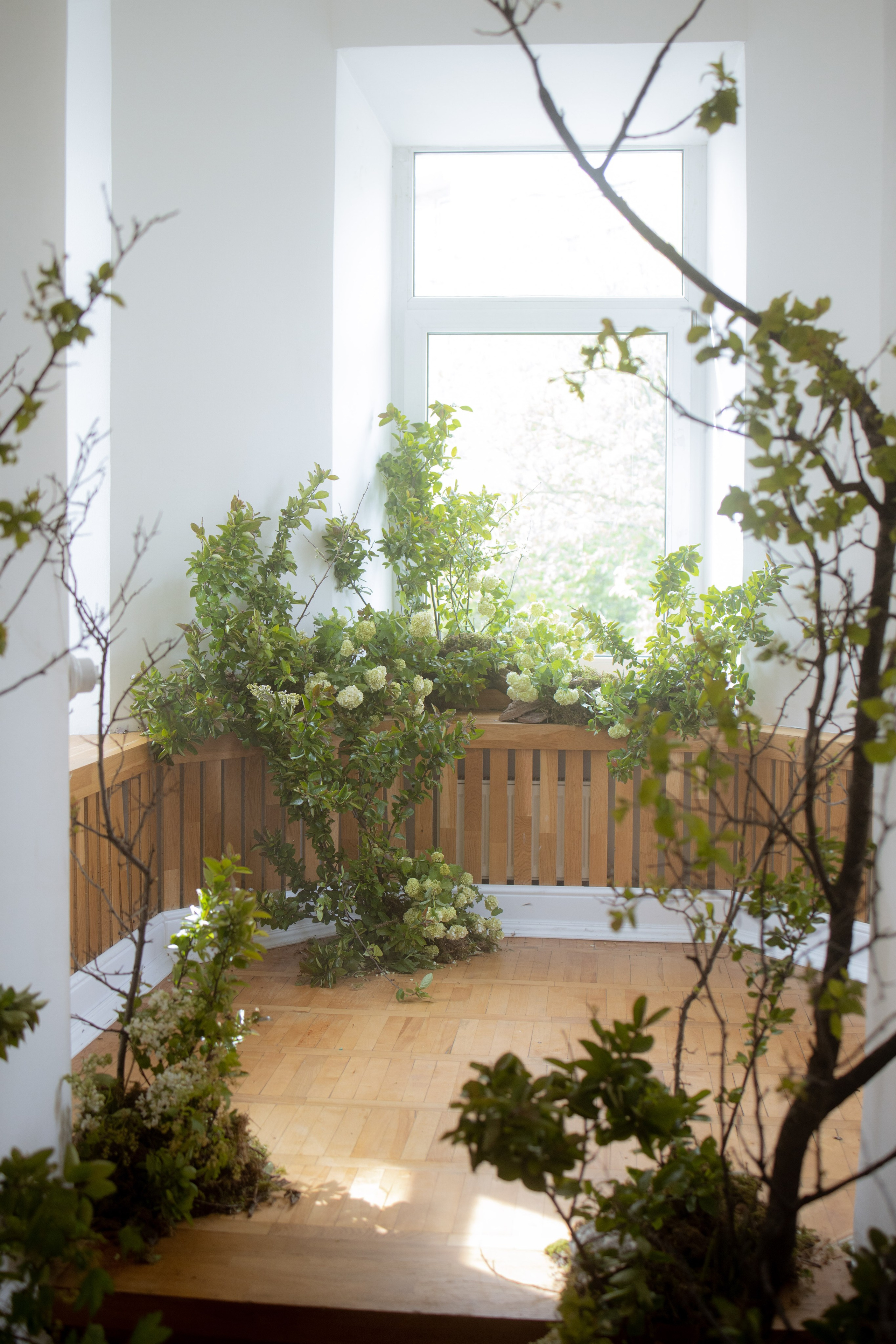 Утро Есении. Оформление свадеб, декор свадеб Вера Маркова, Москва