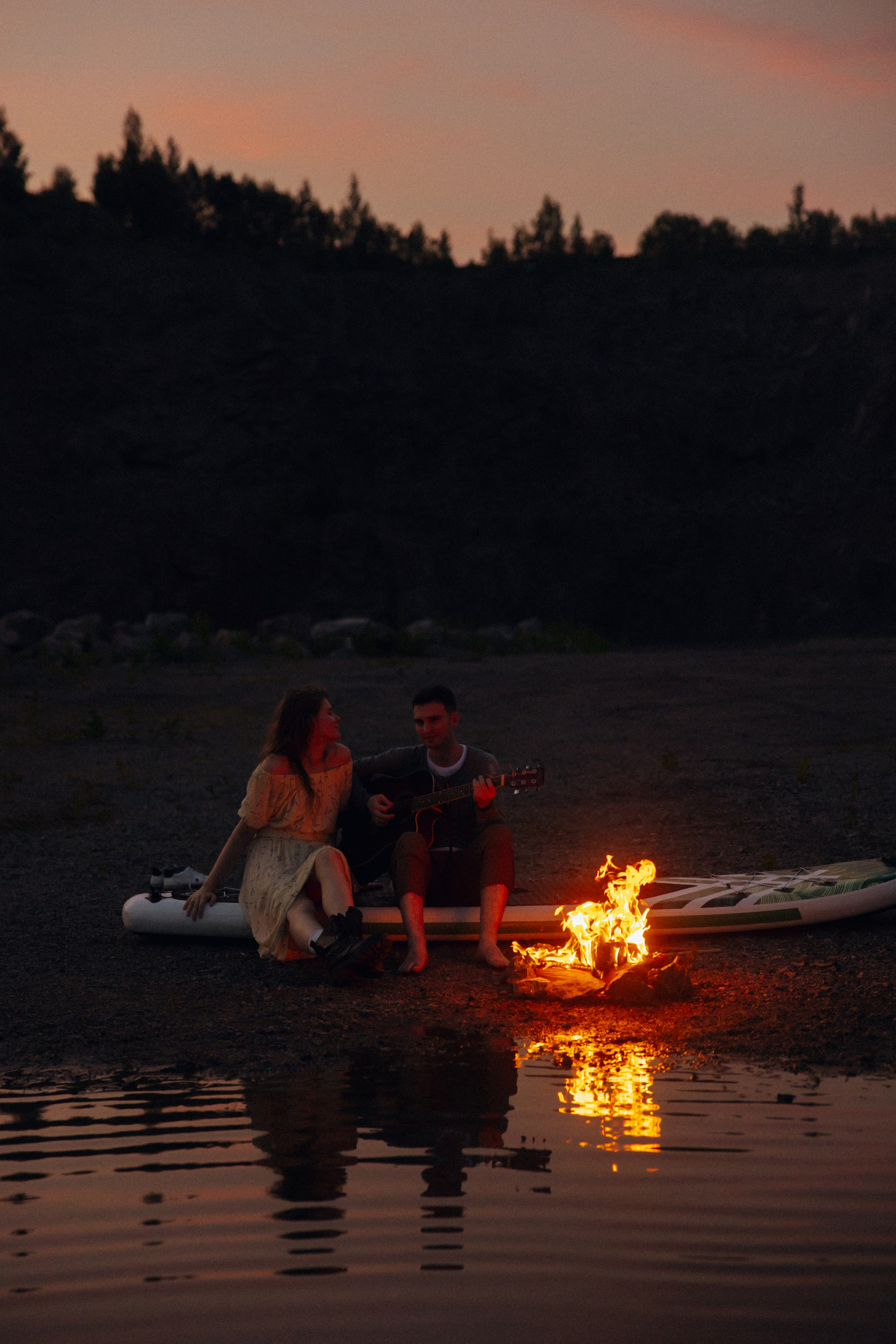 Fearless cats. Wed Photographers 📷 Saint Petersburg