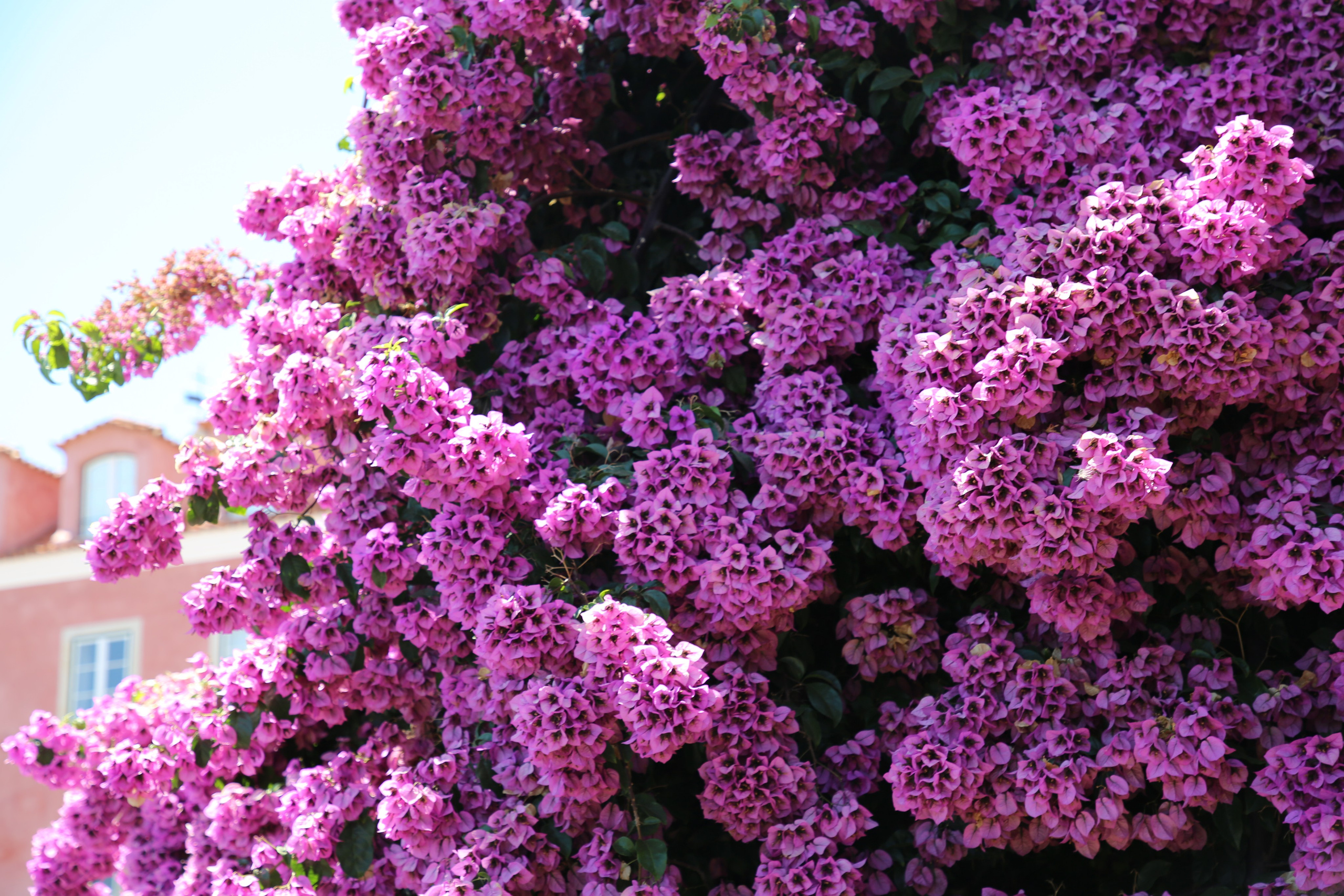 Lisbon, Portugal. Andrey Filippov Photographer