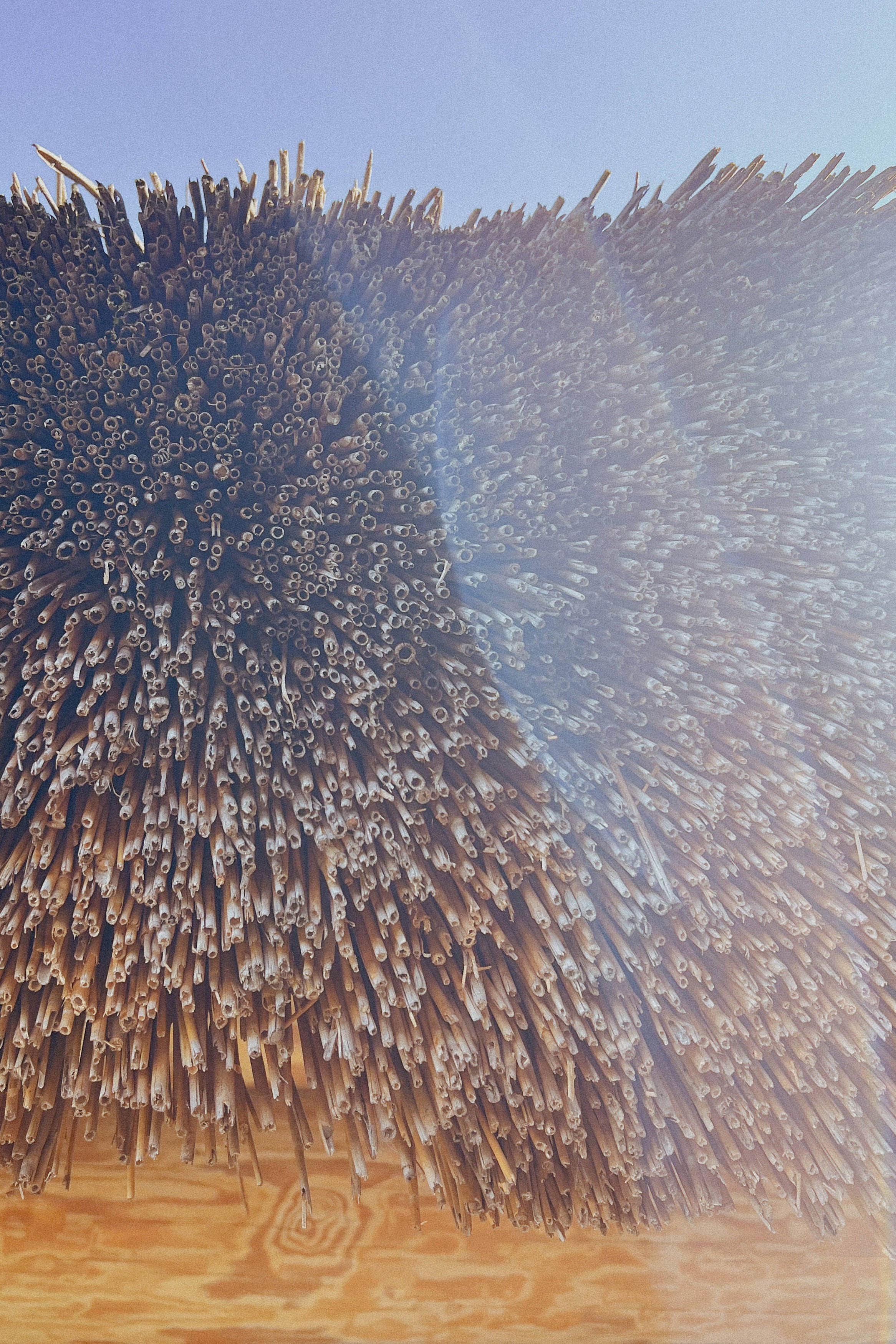 Лучшие фото, снятые на iPhone